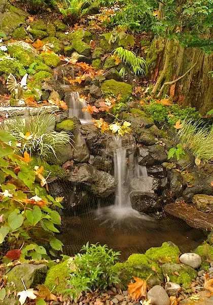 Small waterfall cascading over mossy rocks into a pond, surrounded by autumn foliage and greenery.