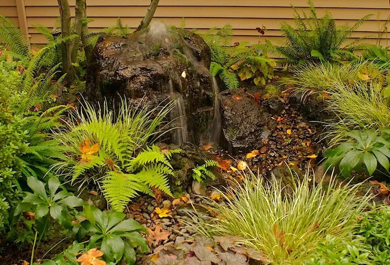 Small rock waterfall in a garden, surrounded by lush green plants and foliage. Water cascades over dark rocks.