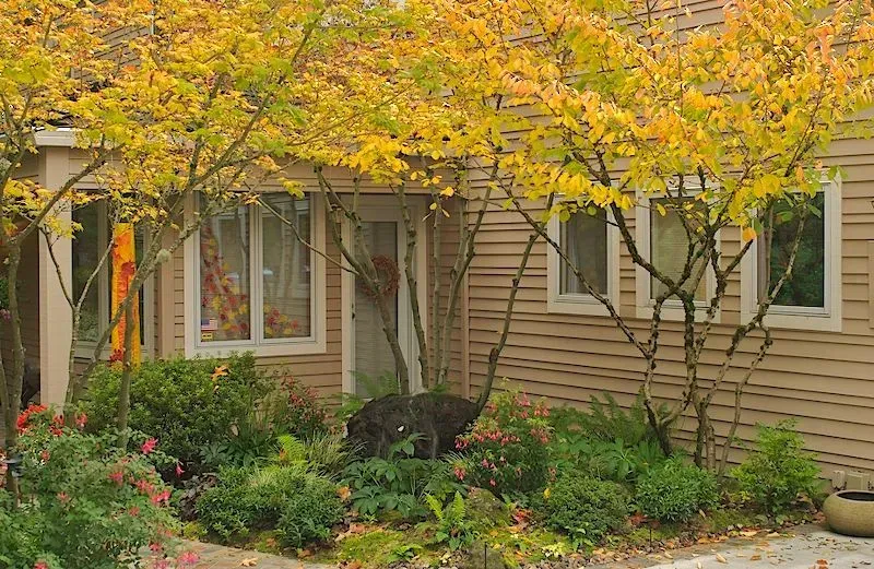 Beige house with small front yard garden, framed by yellow fall foliage.