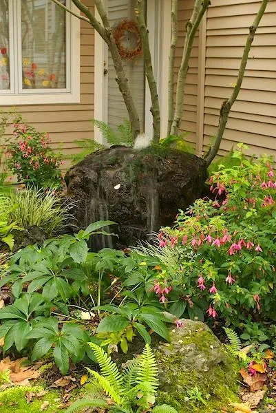 A small garden with a rock feature and water flowing, surrounded by green plants and flowering shrubs beside a beige house.