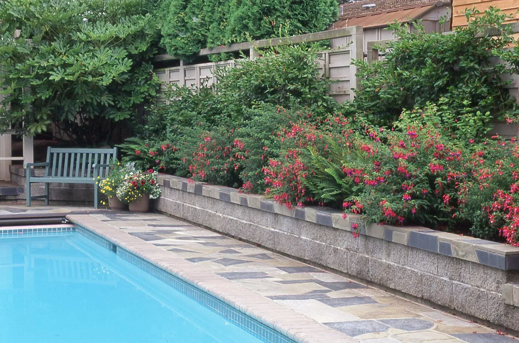 A garden with a pool. A stone wall with red flowering bushes sits beside a pool with a blue surface, and a green bench.