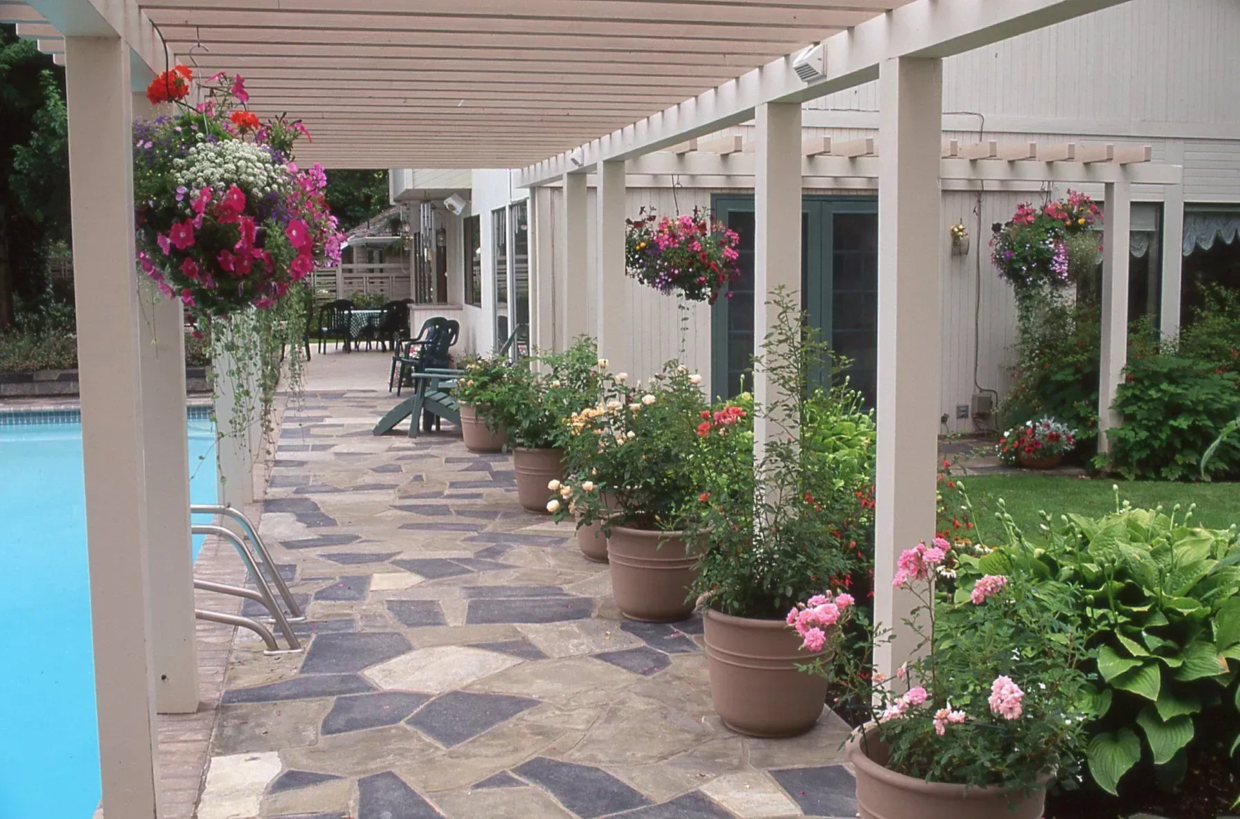 Pergola-covered patio with potted roses and hanging flower baskets alongside a blue swimming pool.