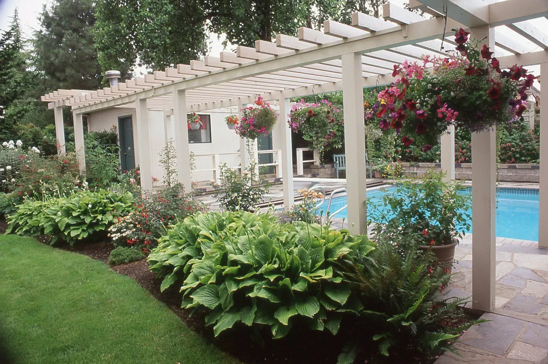 A garden with a white pergola and a pool. 