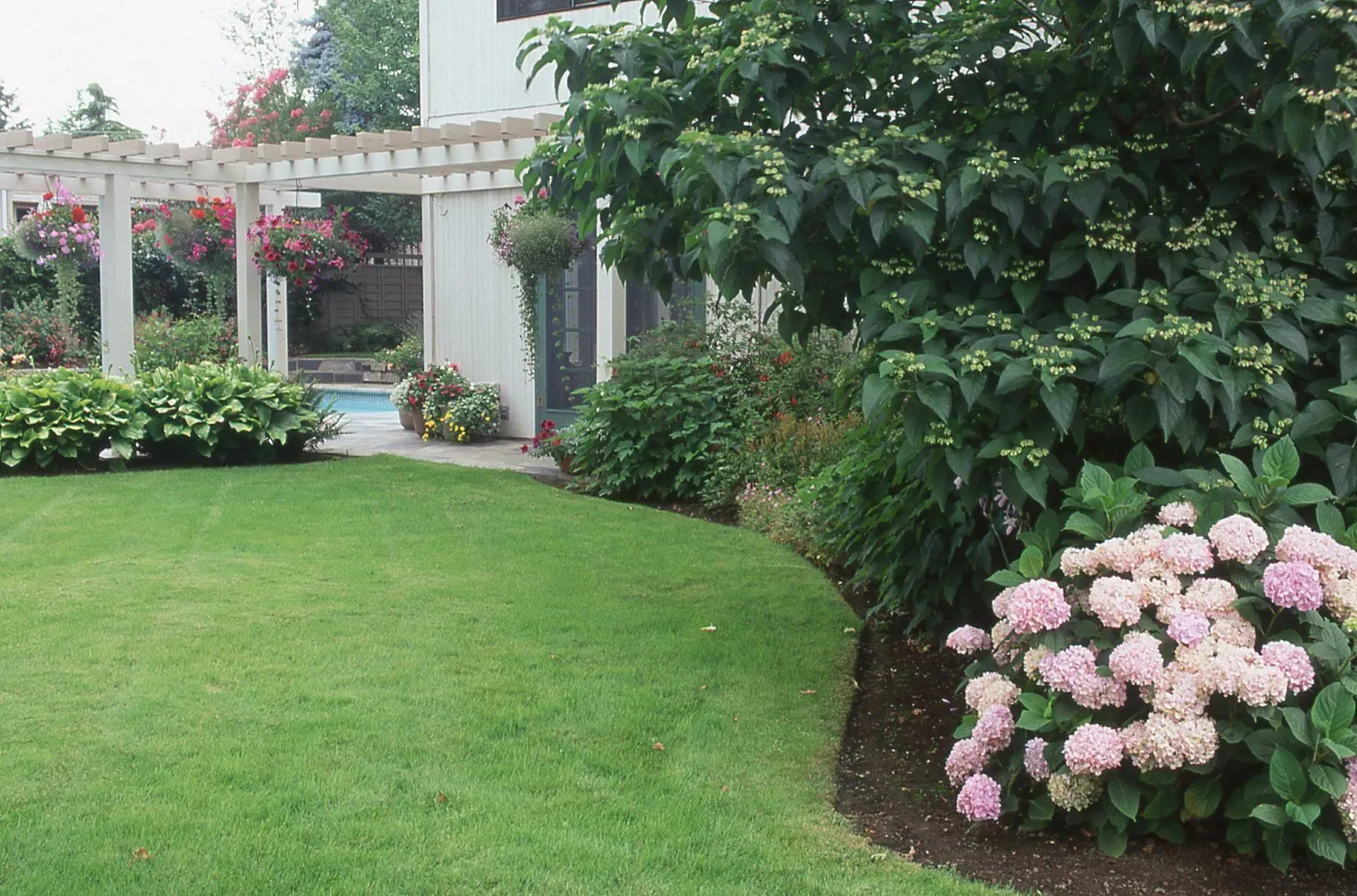 Lush green lawn curves towards a white pergola and small pool area; large hydrangea bush with pink blooms borders the lawn.
