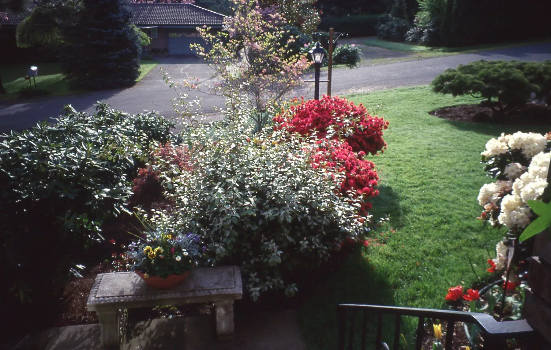 A vibrant garden bed with red and white flowers, a stone bench, and a green lawn. A driveway and trees are in the background.