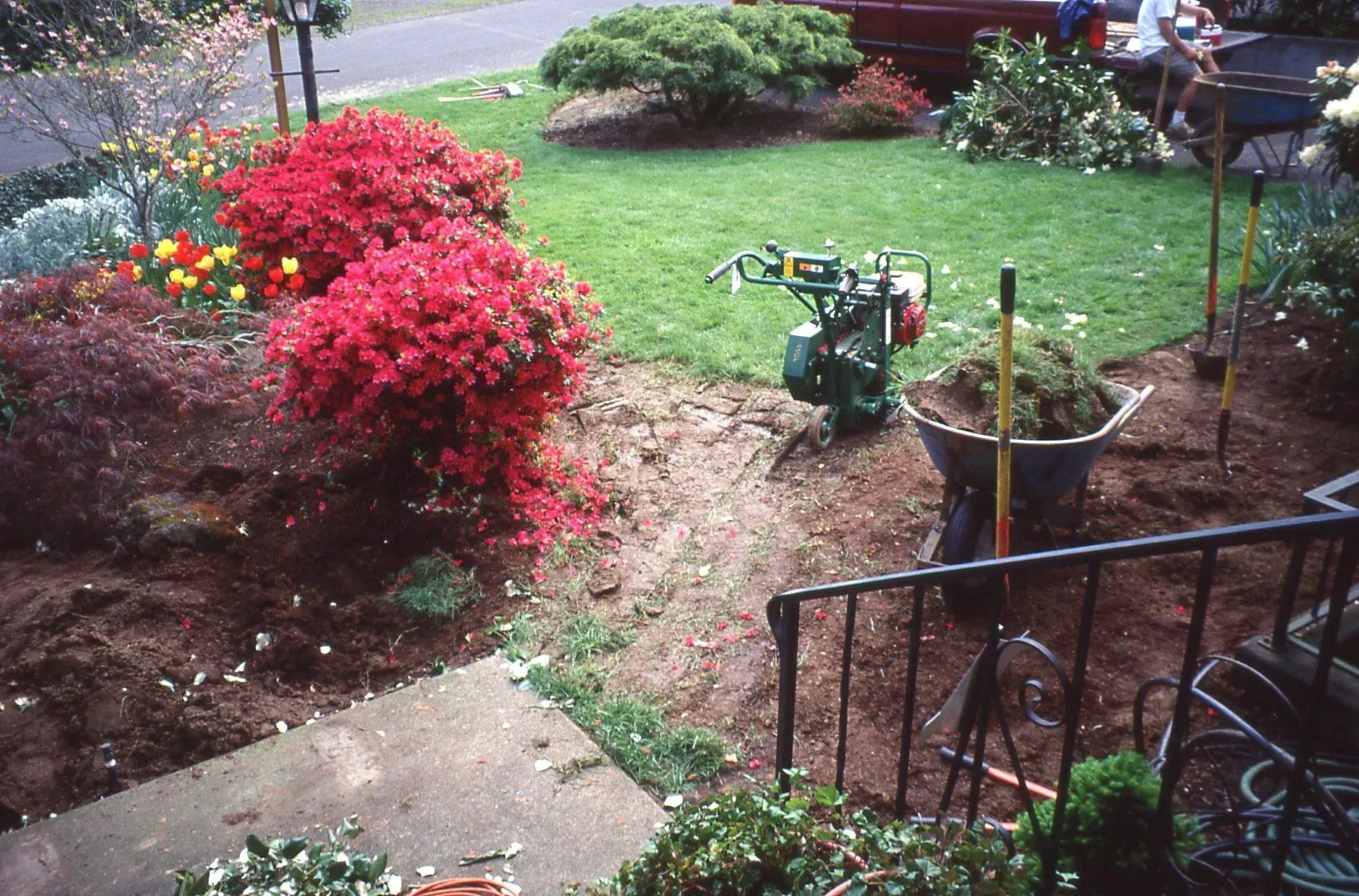 A front yard with blooming red bushes, tilled earth, and gardening tools. A small tiller and wheelbarrow are present.