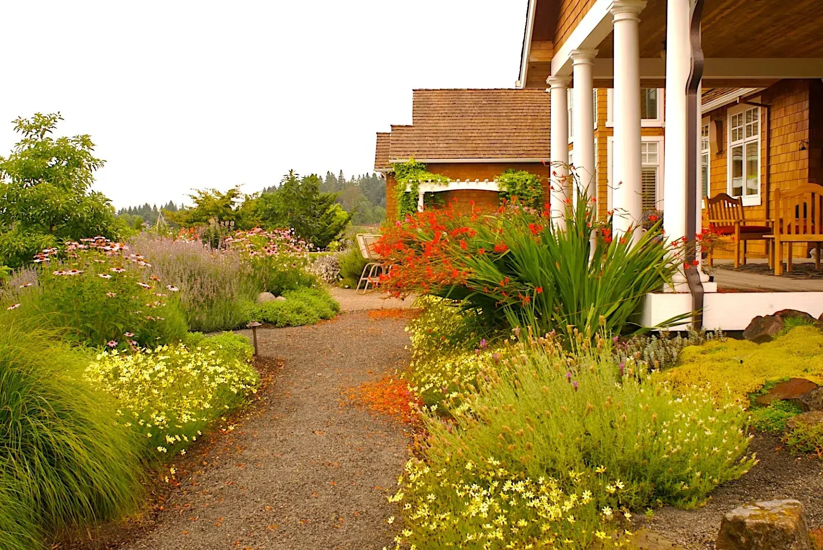 Gravel path winds through a colorful garden towards a porch with white columns and a brick house.
