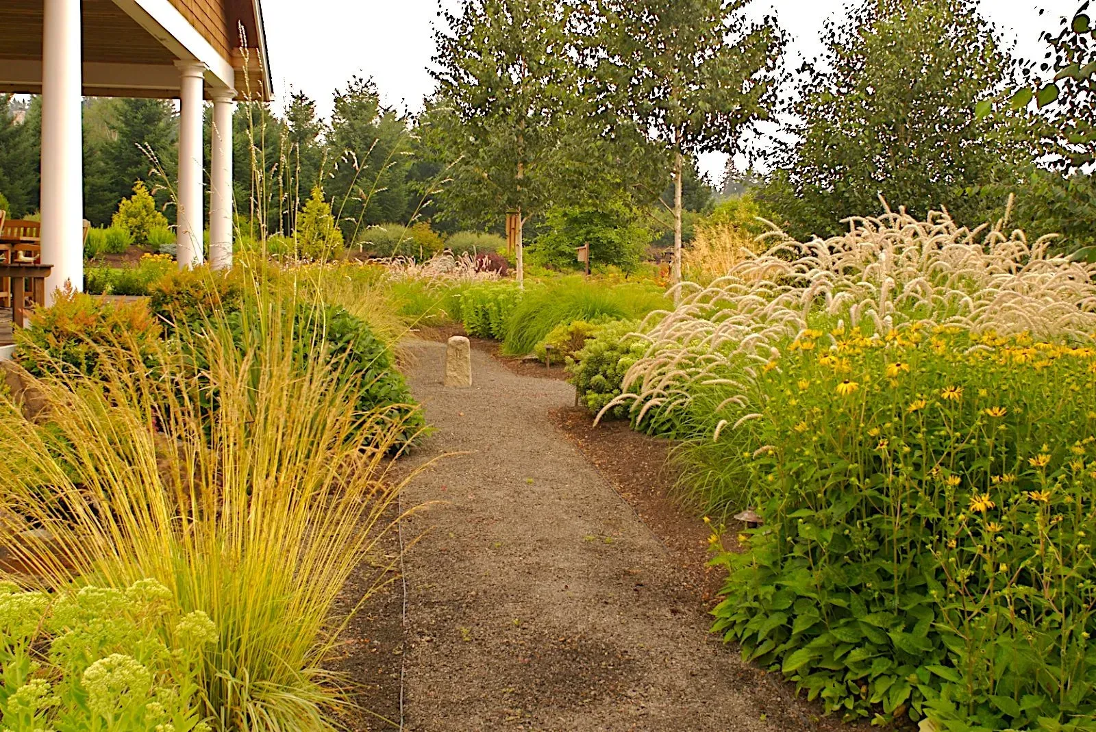 Gravel pathway winds through a lush garden with various plants and shrubs, leading toward a covered structure.