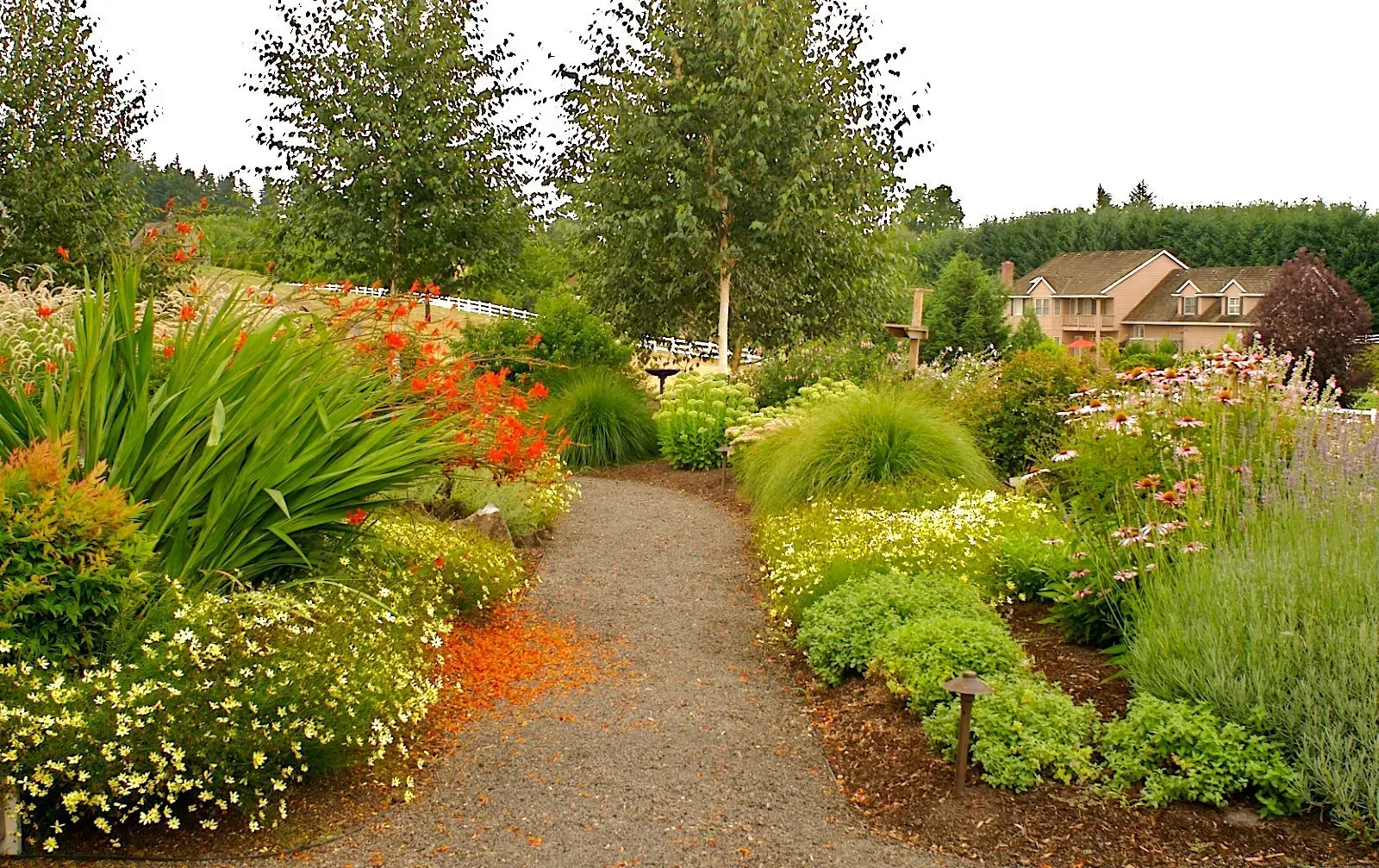Gravel path winds through a garden with colorful flowers and greenery, leading towards a house in the distance.