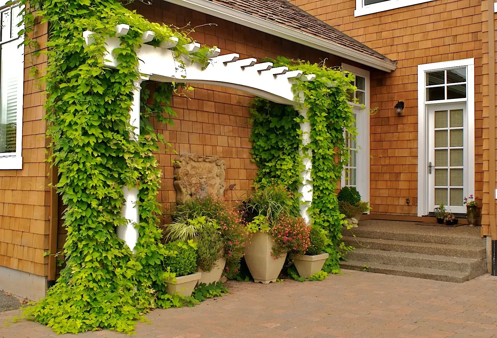 Green vines climbing a white pergola over a doorway. Several potted plants sit at the base. The building has wood siding.