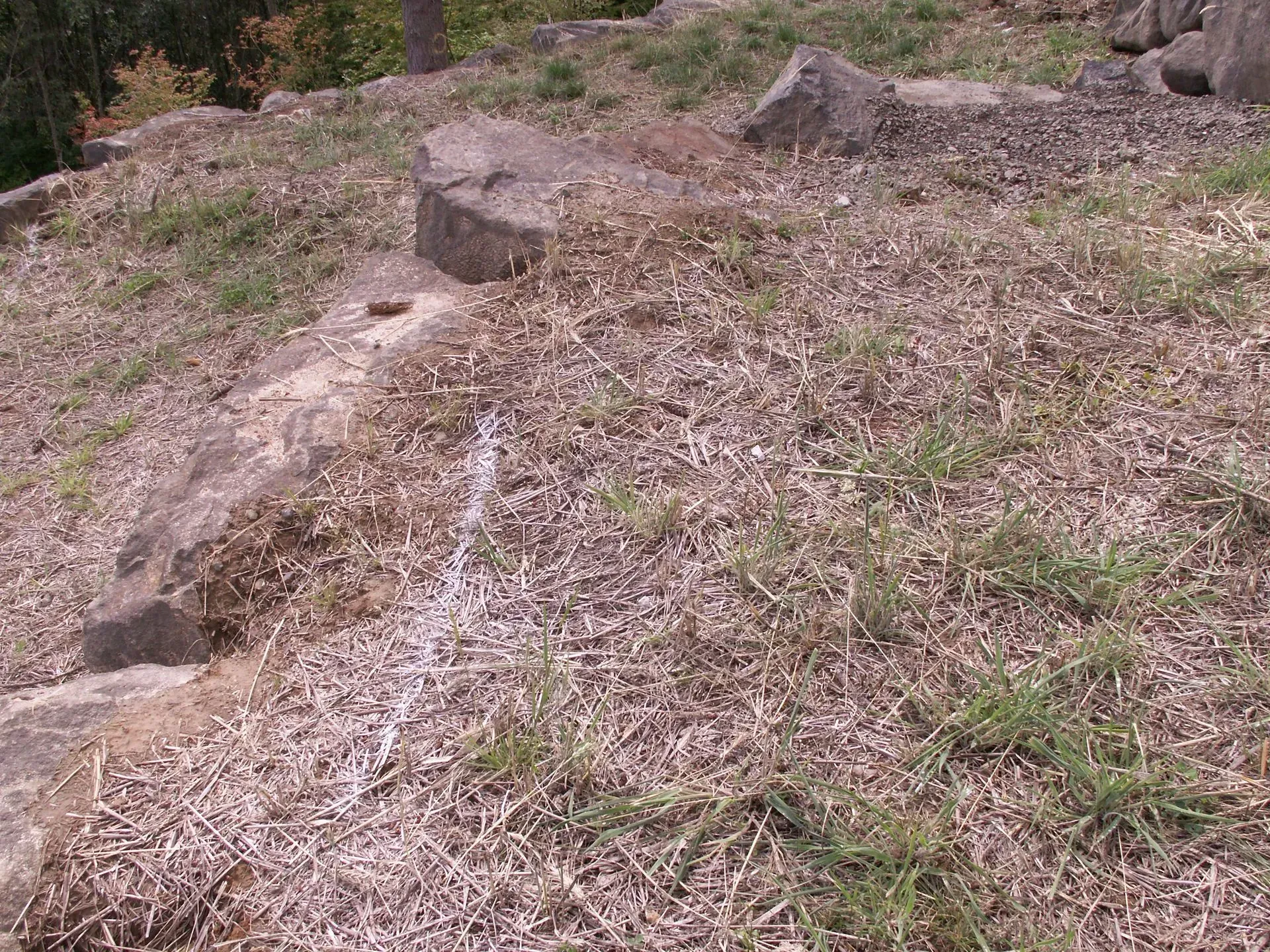 Grassy hill with large stone blocks, possibly ruins. Some green grass, mostly dry vegetation. Sunny daytime.