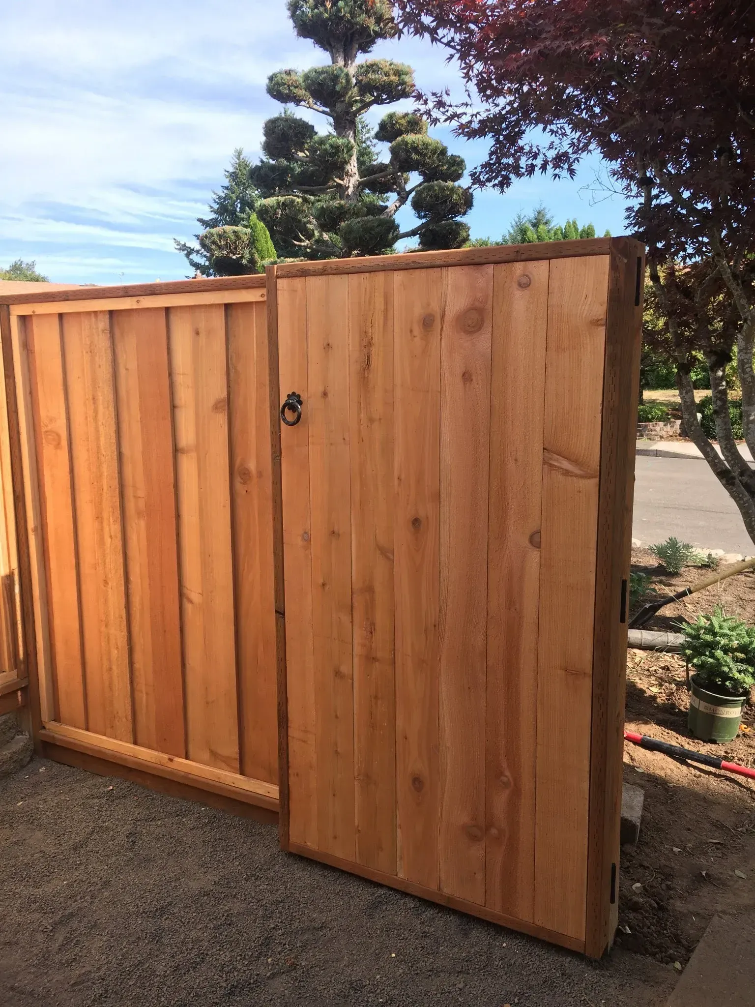 Wooden gate, partially open, revealing a gravel yard and a glimpse of a tree.