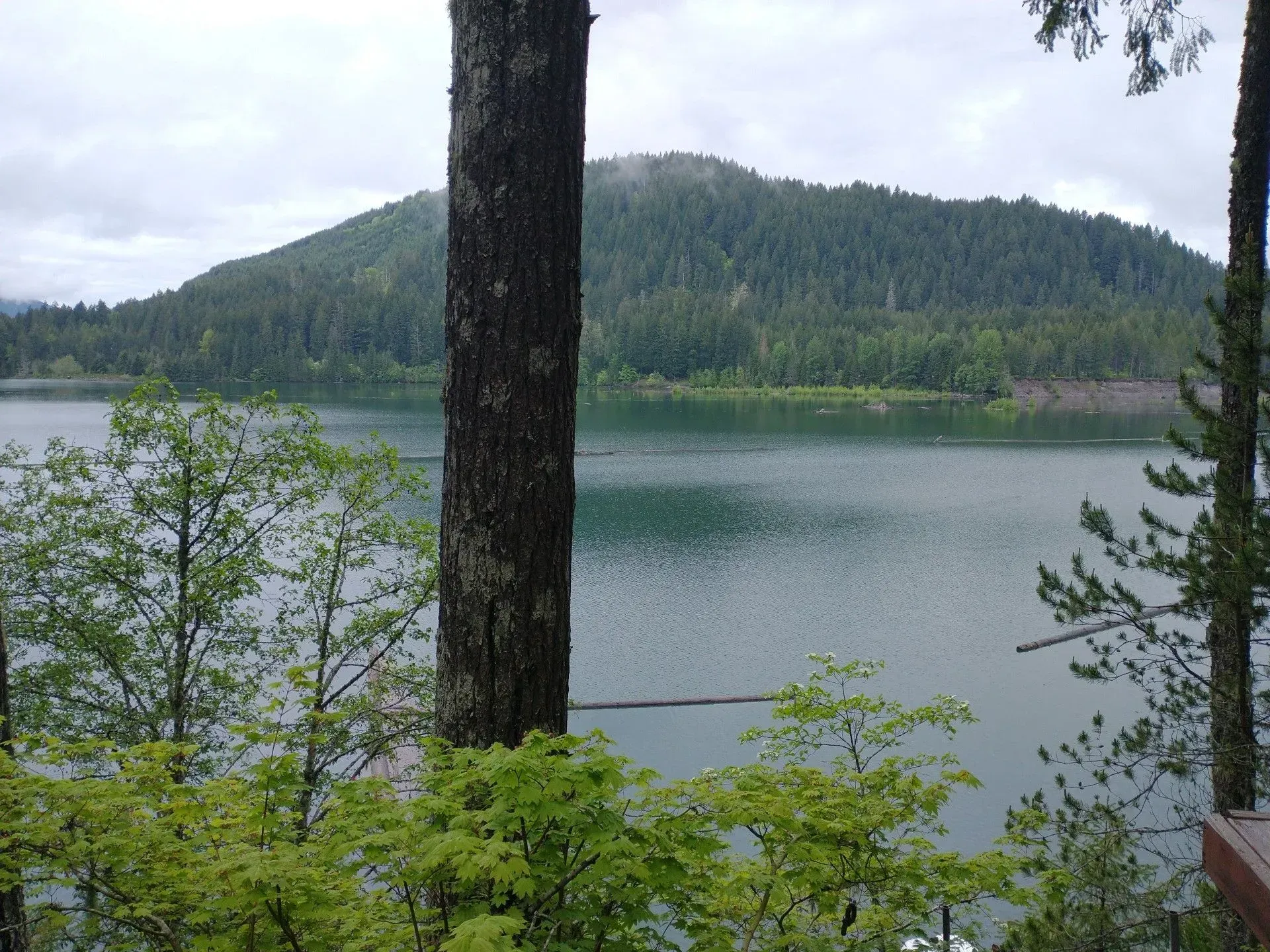 A large lake with a forested mountain in the background, framed by trees and green foliage under a cloudy sky.