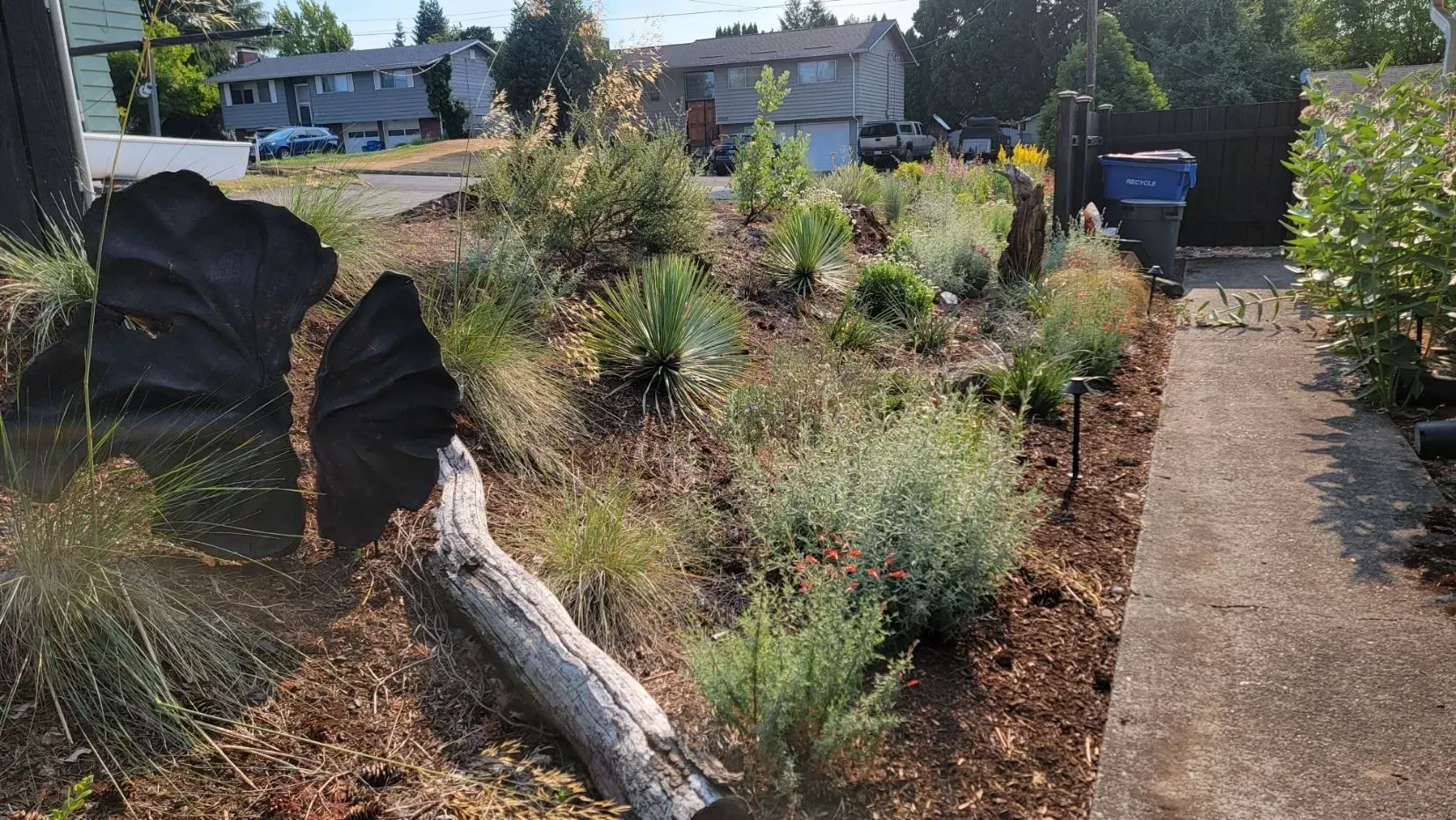 A landscaped front yard with native plants, a log, and decorative black stone.