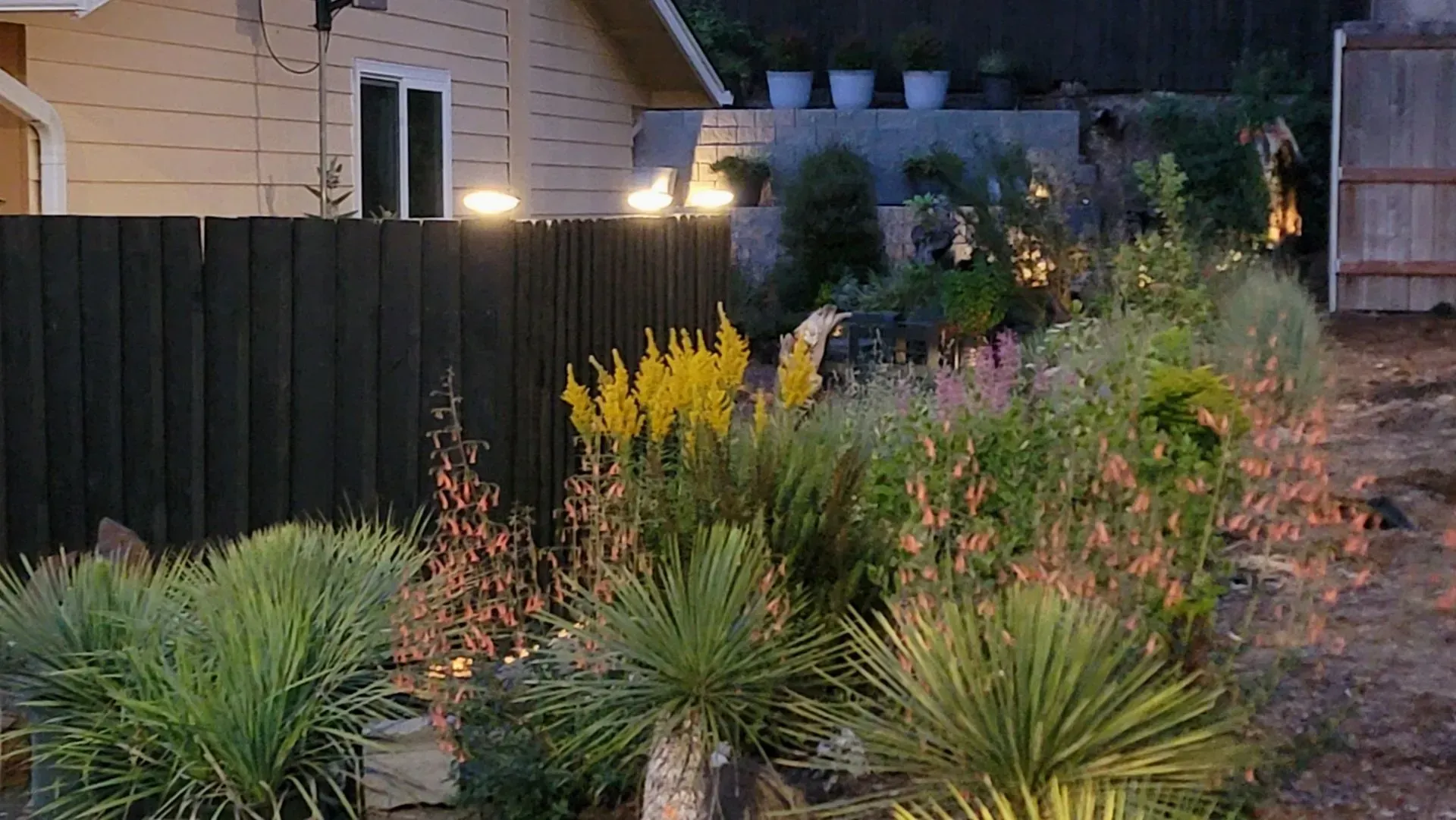 A nighttime view of a garden bed with various plants and lighting against a black wooden fence.