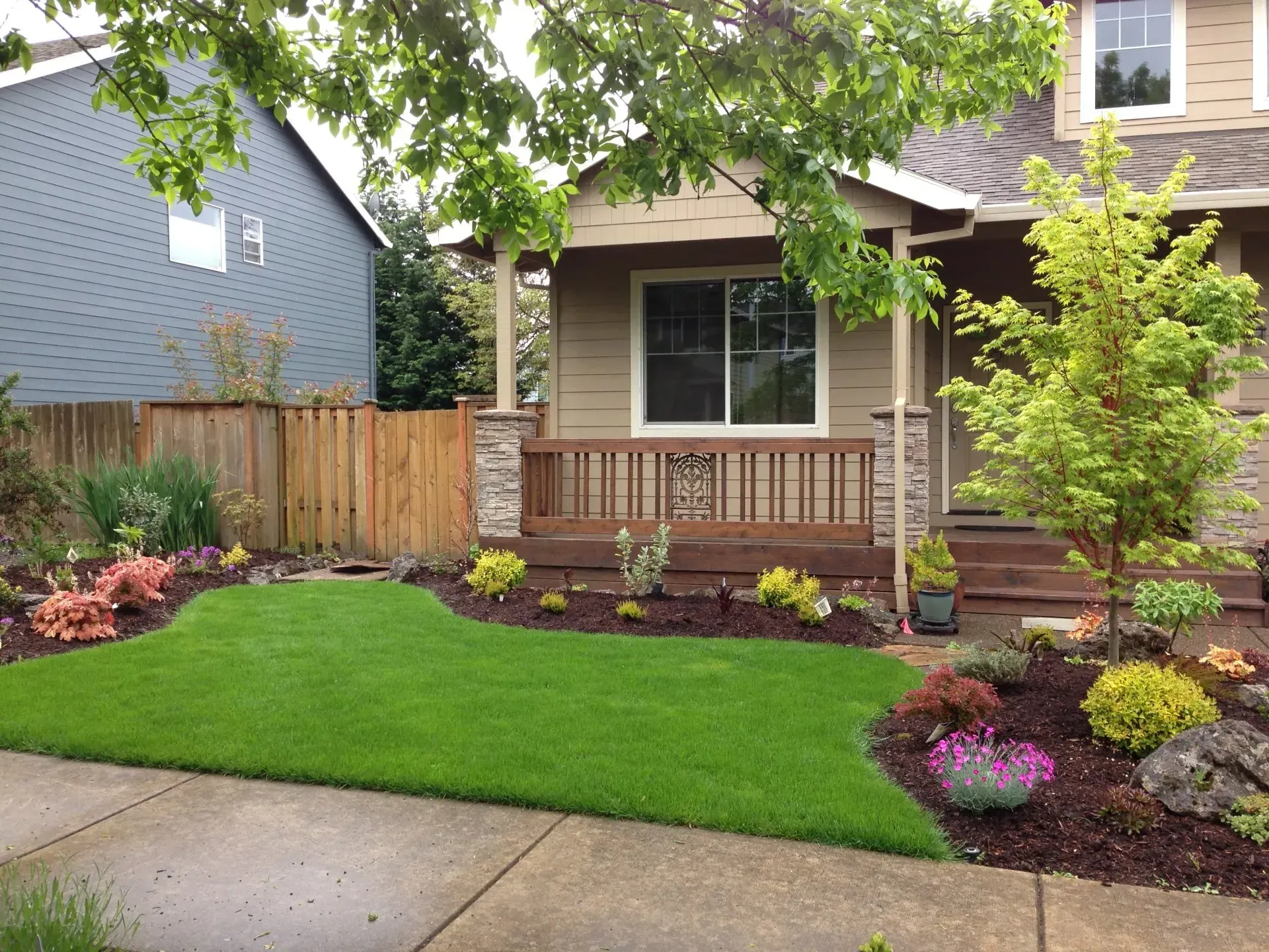 A small house with a well-manicured lawn and landscaped garden.