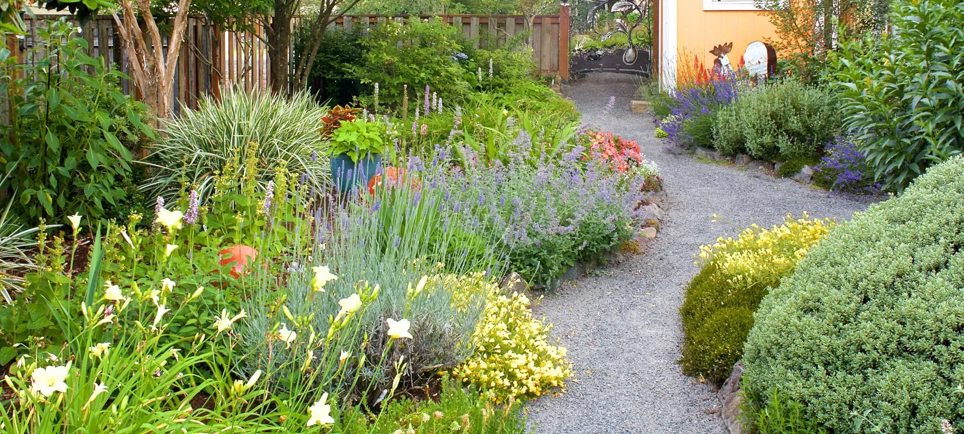 A gravel path winds through a lush garden filled with various green plants and colorful flowers.