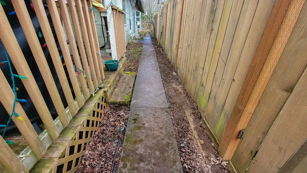 A narrow, concrete pathway flanked by wooden fences and leaf litter.