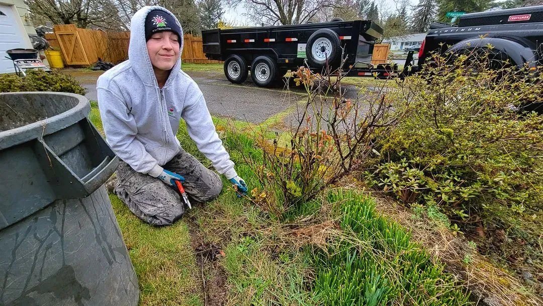 A person kneels trimming plants, wearing a hoodie and gloves. A trailer is in the background, along with a grassy area.
