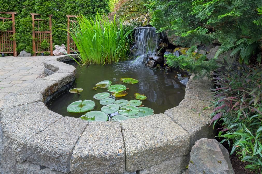 A stone-bordered pond with a small waterfall, lily pads, and greenery in a garden setting.