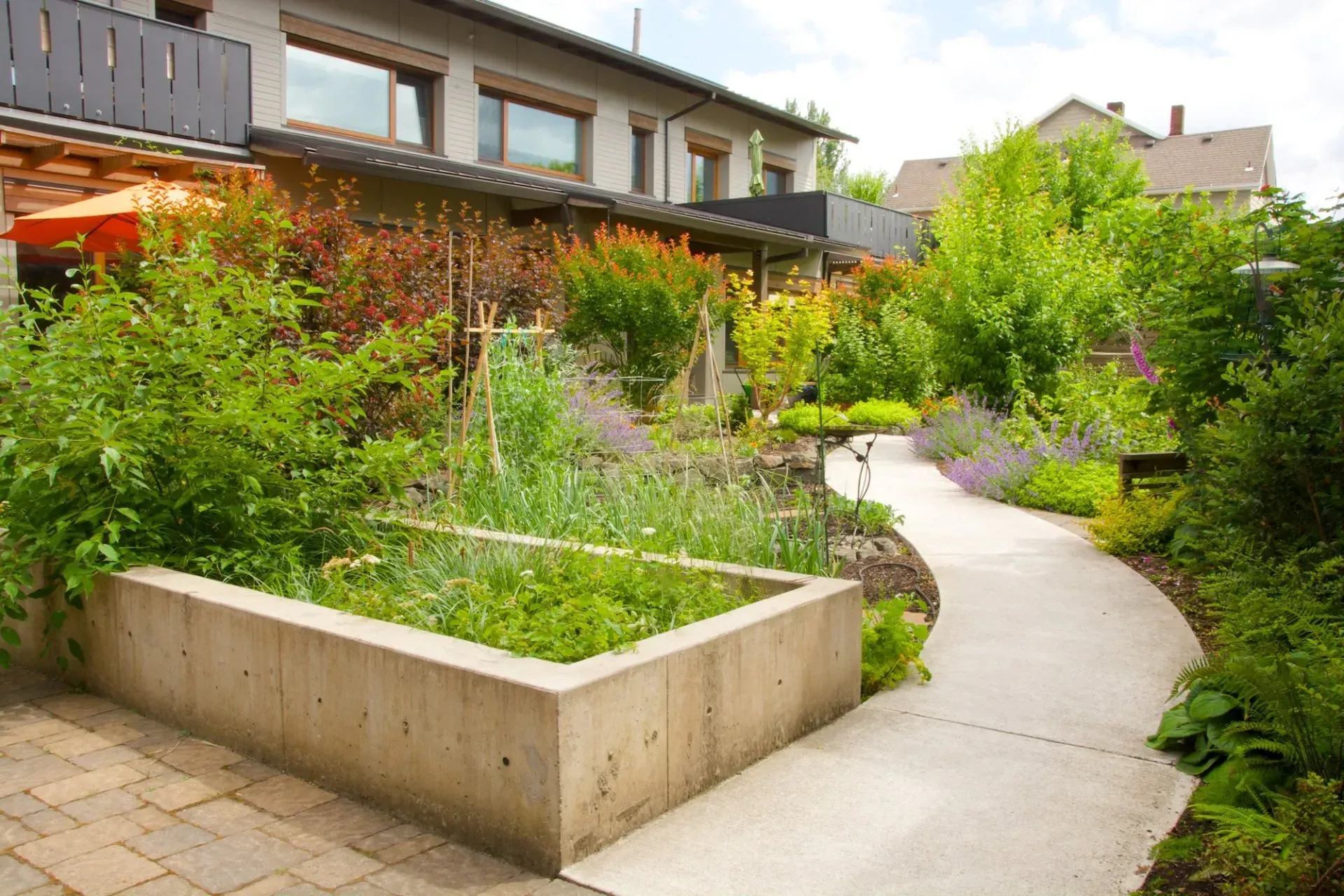Concrete planter filled with green plants, with a winding sidewalk through a lush, green garden next to a two-story building.