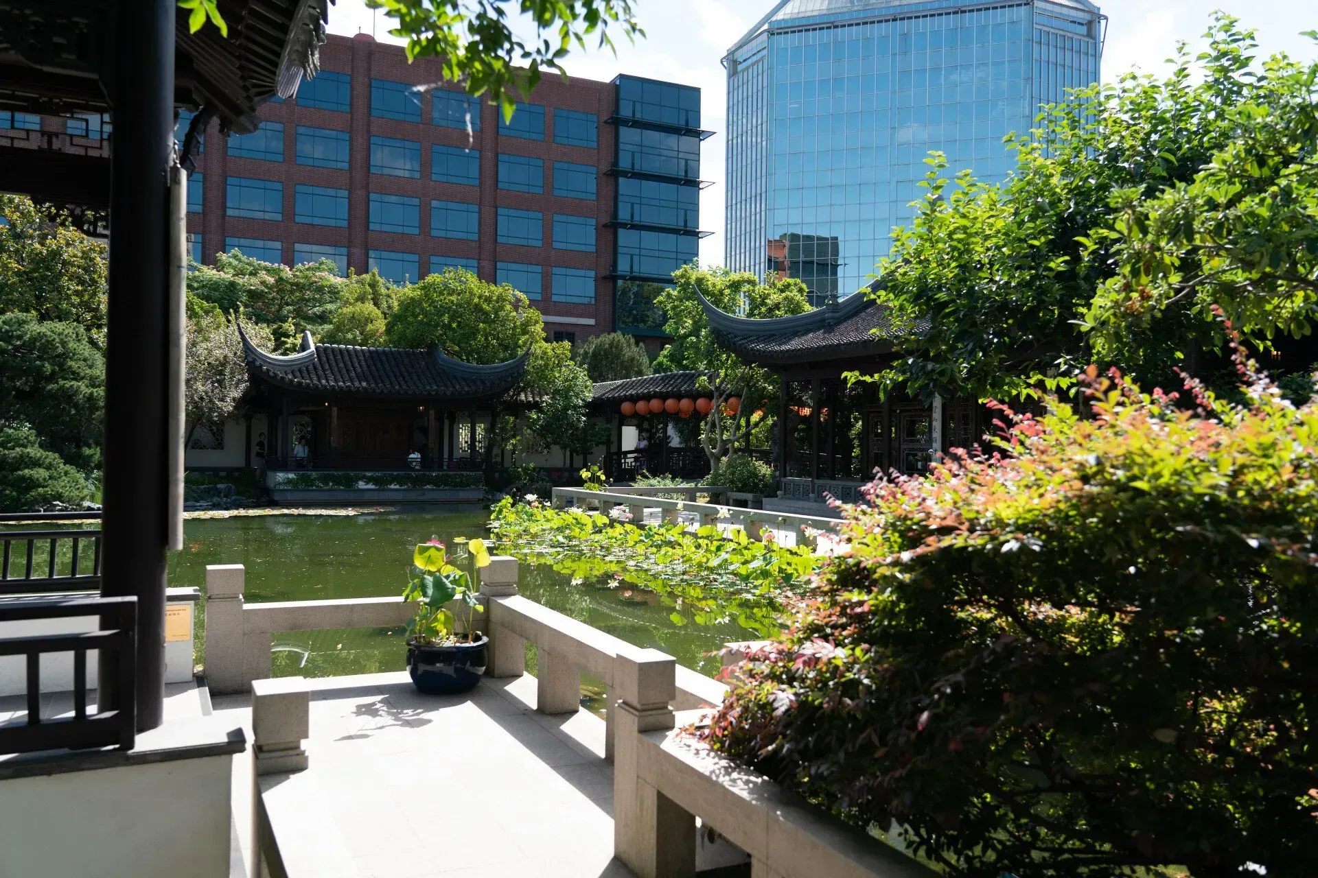 Chinese garden with traditional pavilions and a pond in front of modern city buildings, with green foliage and a sunny sky.
