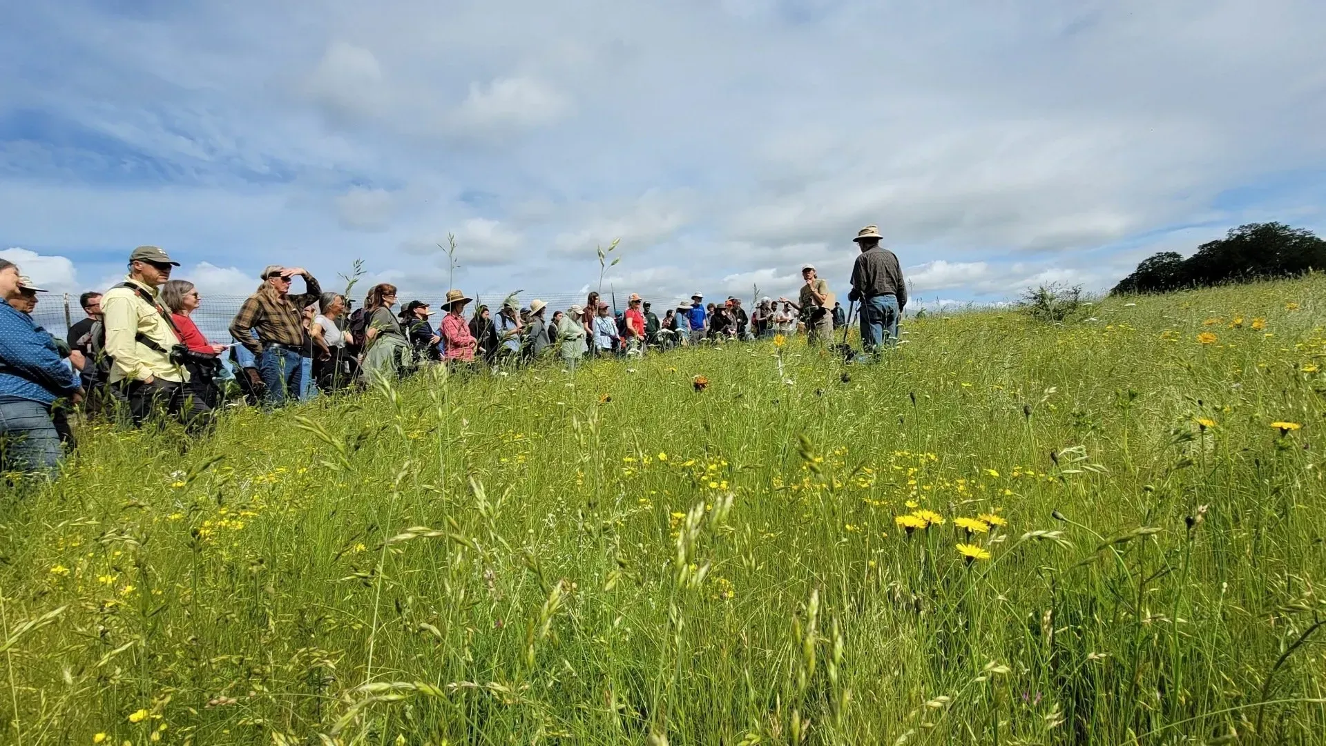 A group of people on a grassy hill listening to a person in a hat and jacket; blue sky above.