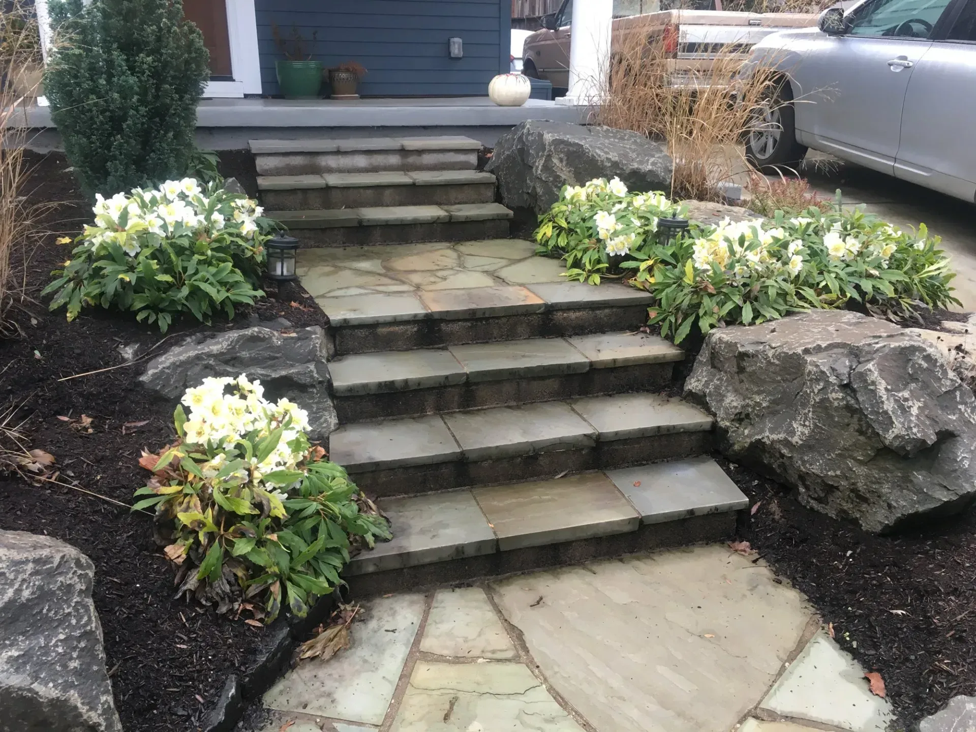 Stone steps leading up to a dark blue house, flanked by large rocks and flowering plants. 