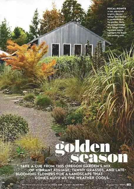 Golden season garden with a gravel path leading to a silver building, framed by colorful foliage and grasses.