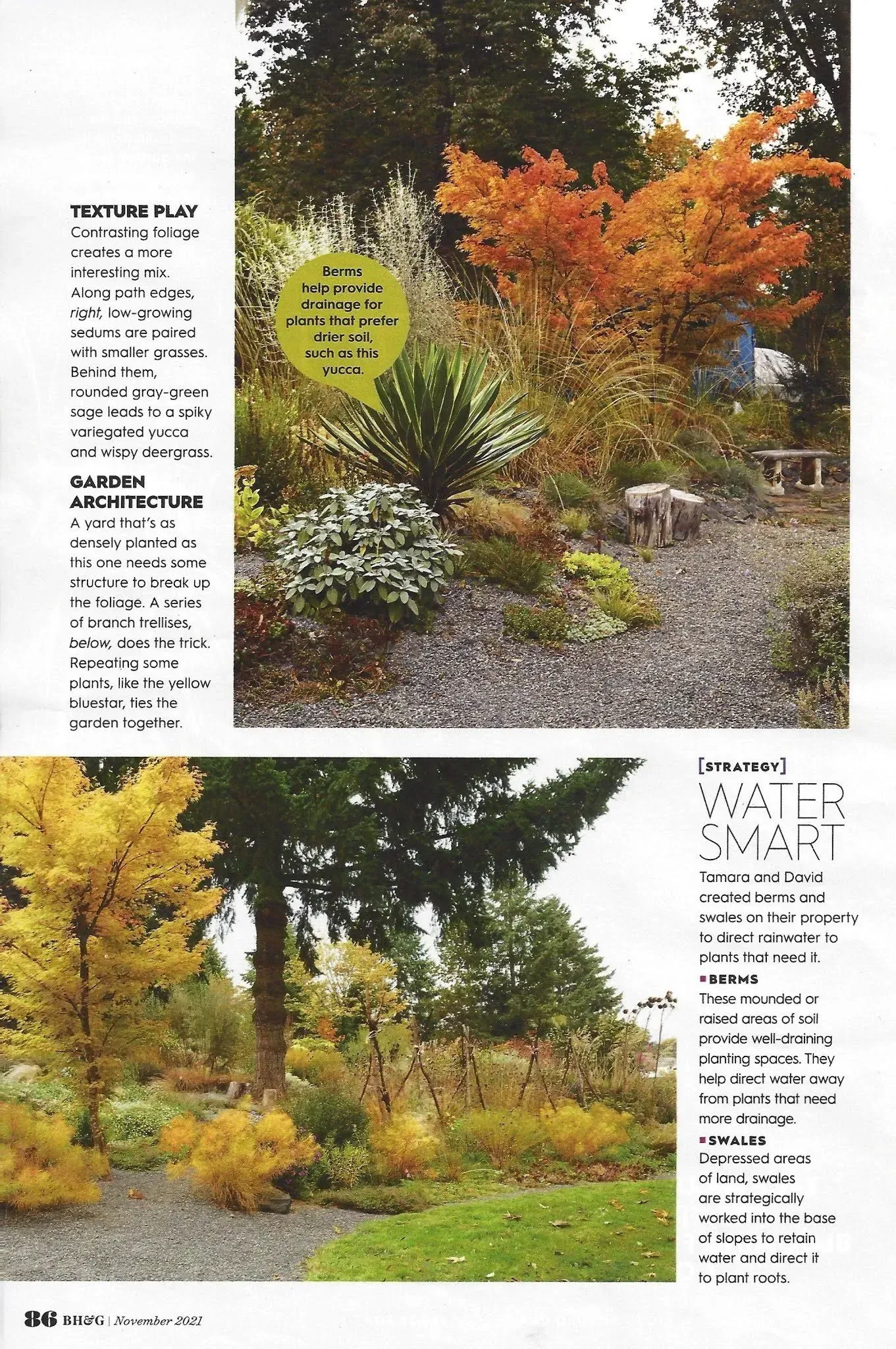 Two garden scenes with autumn foliage; one shows a colorful mix, and the other features golden yellows.