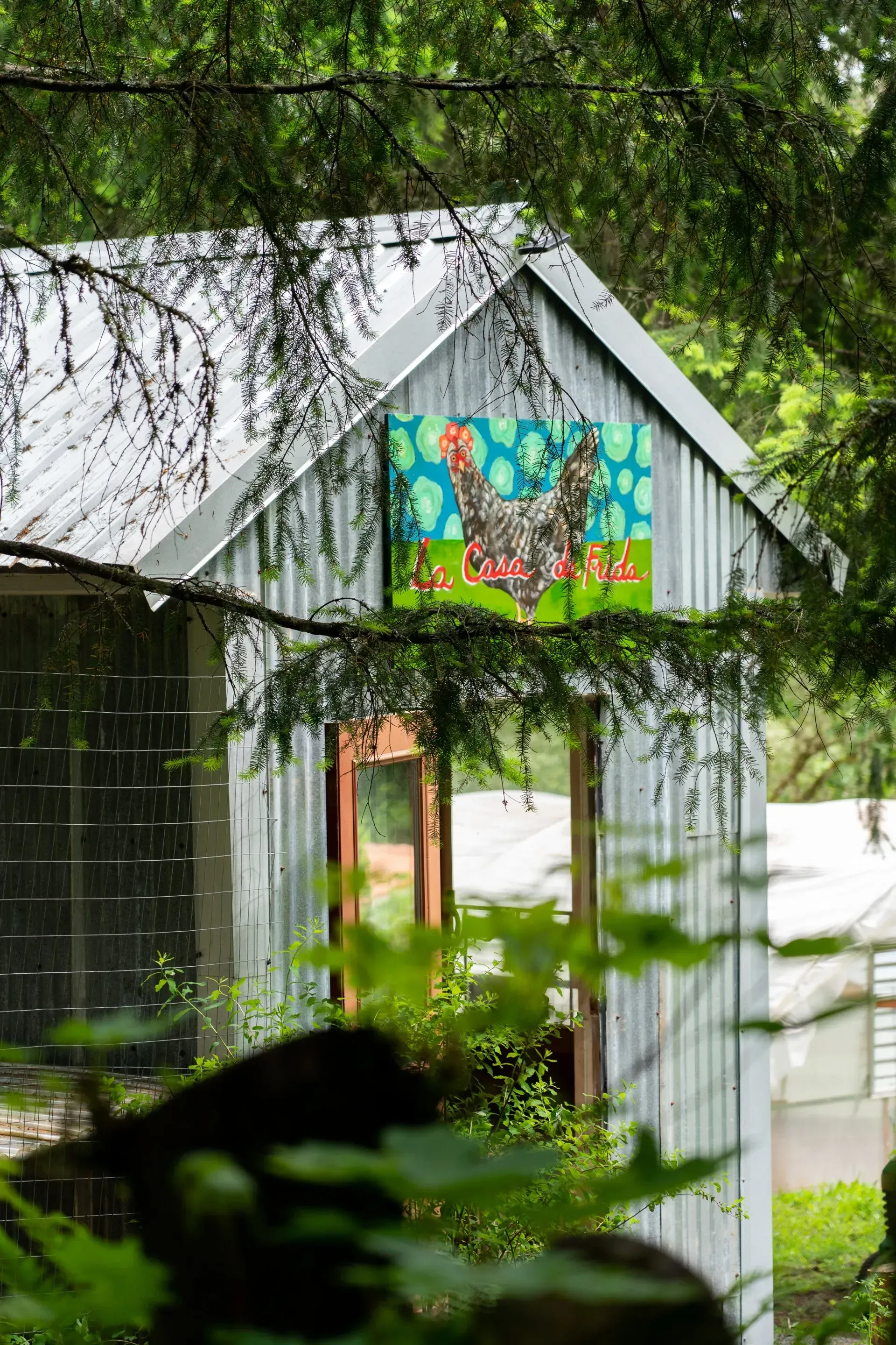 A metal chicken coop in a wooded area, with a colorful painting of a chicken on its front.