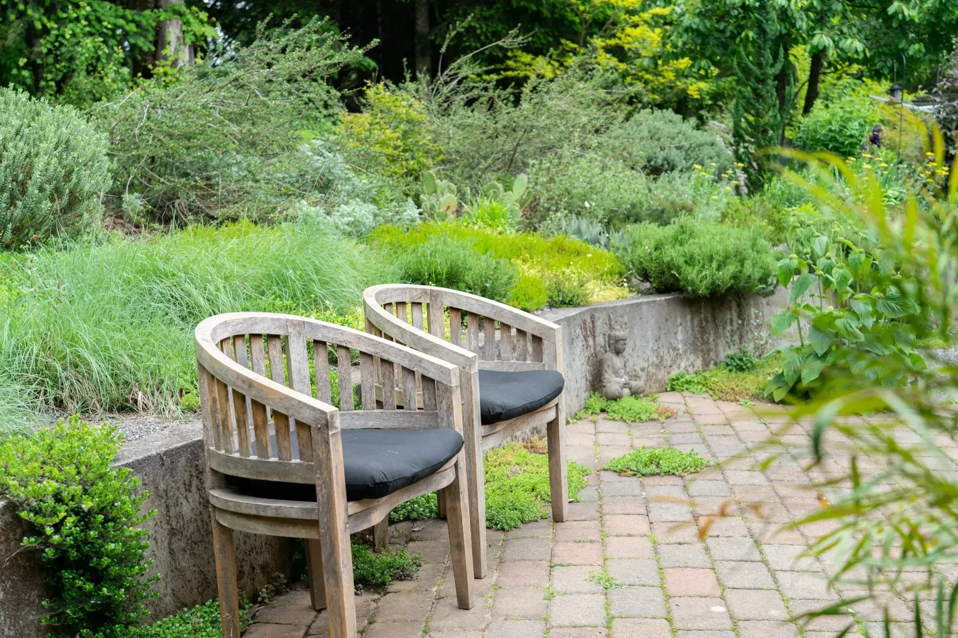 Two wooden chairs with black cushions on a brick patio, overlooking a lush garden with various green plants.