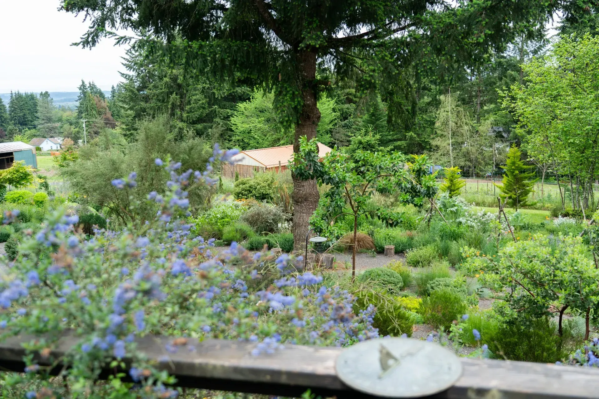 Overlooking a lush garden with diverse greenery. A sundial rests on a wooden railing in the foreground.