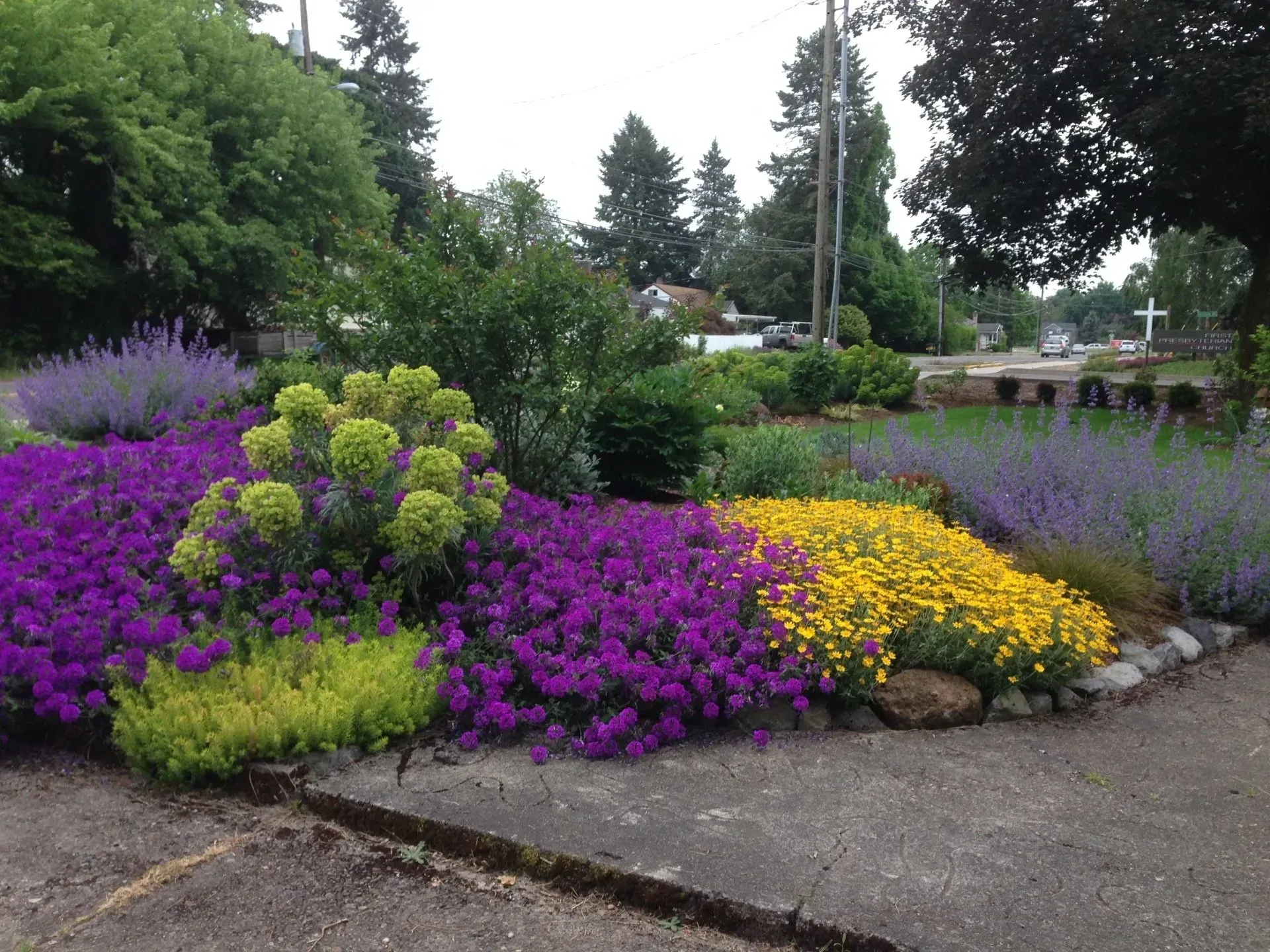 A colorful garden bed with purple, yellow, and green flowers blooms.