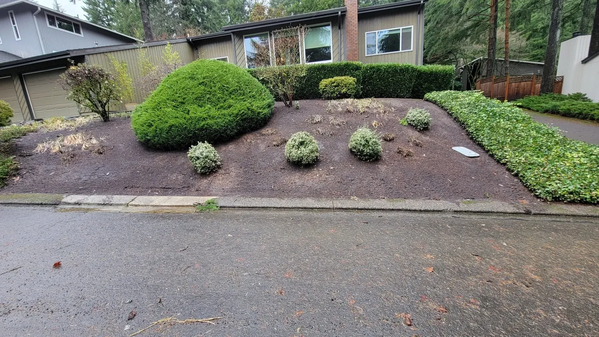 A front yard with a mulch bed, green bushes, and a house in the background. A driveway runs to the right.