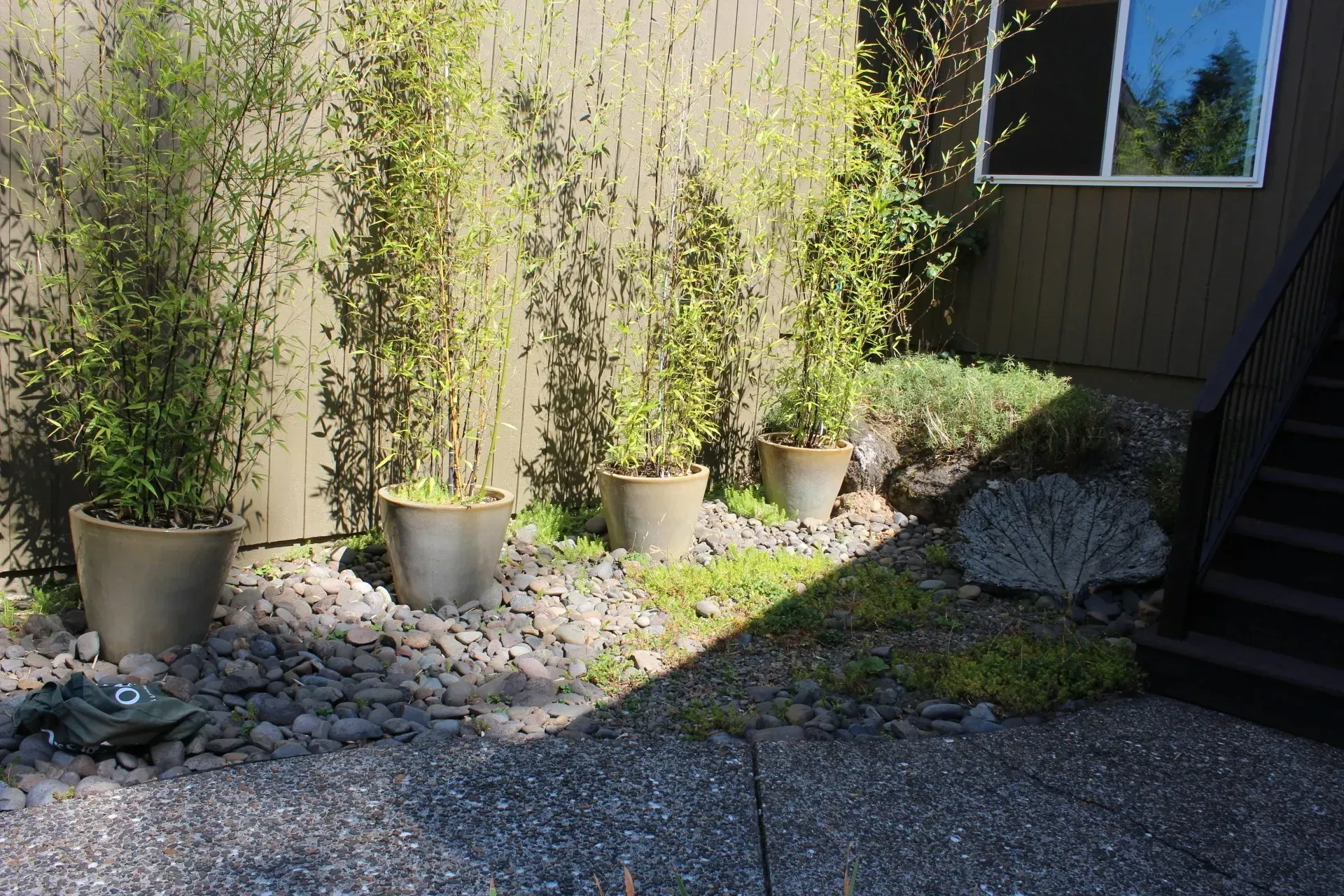 Four potted plants line a dark fence, with a patch of green and rocks in front. A set of stairs descends on the right.