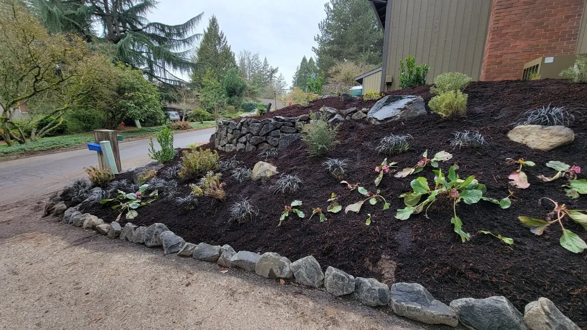 A landscaped garden bed with dark mulch, rocks, and plants along a driveway. The setting is outdoors on a cloudy day.