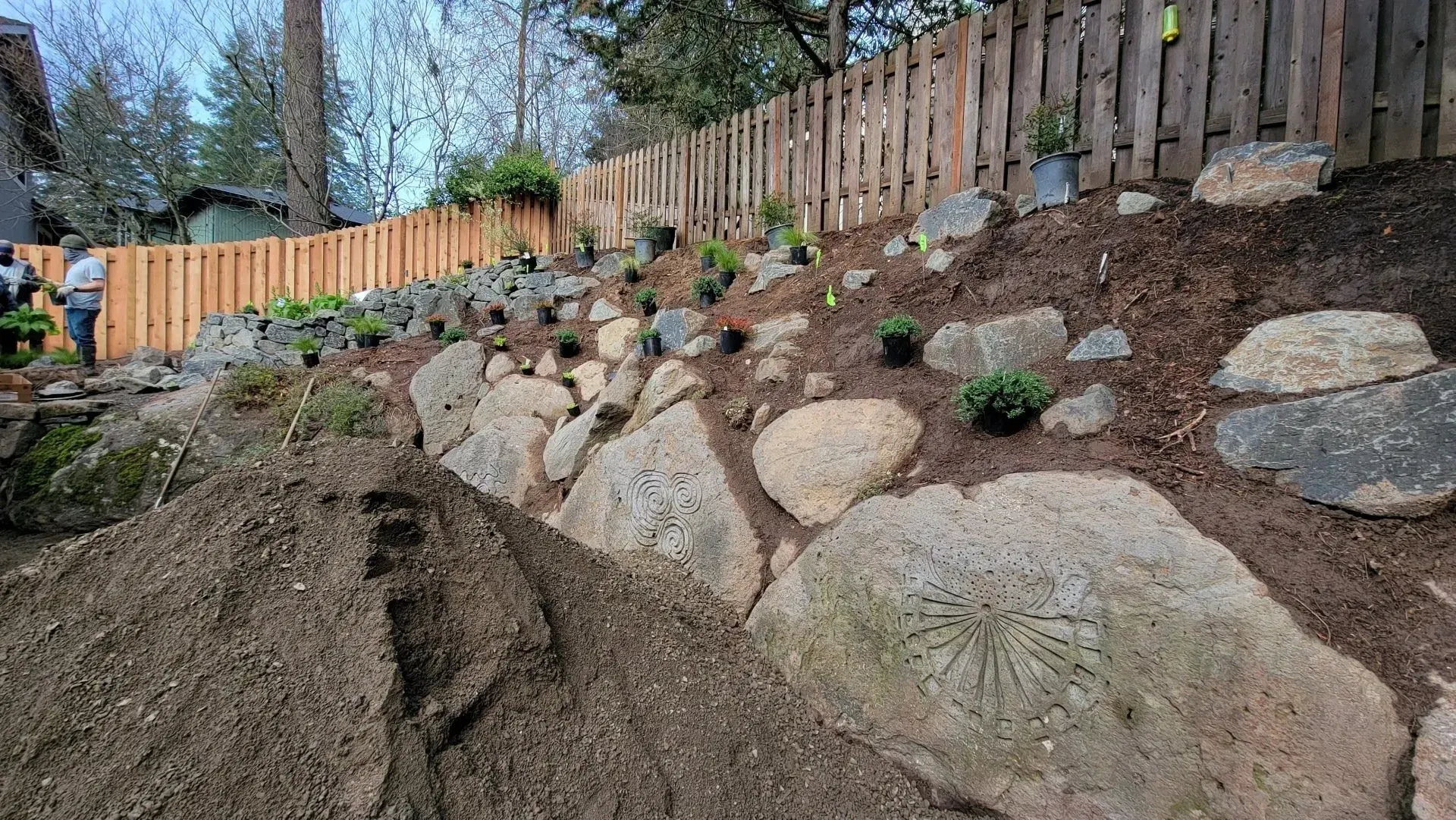 Landscaping scene: a hillside with large rocks, new plantings, and a wooden fence. Brown soil and greenery are present.