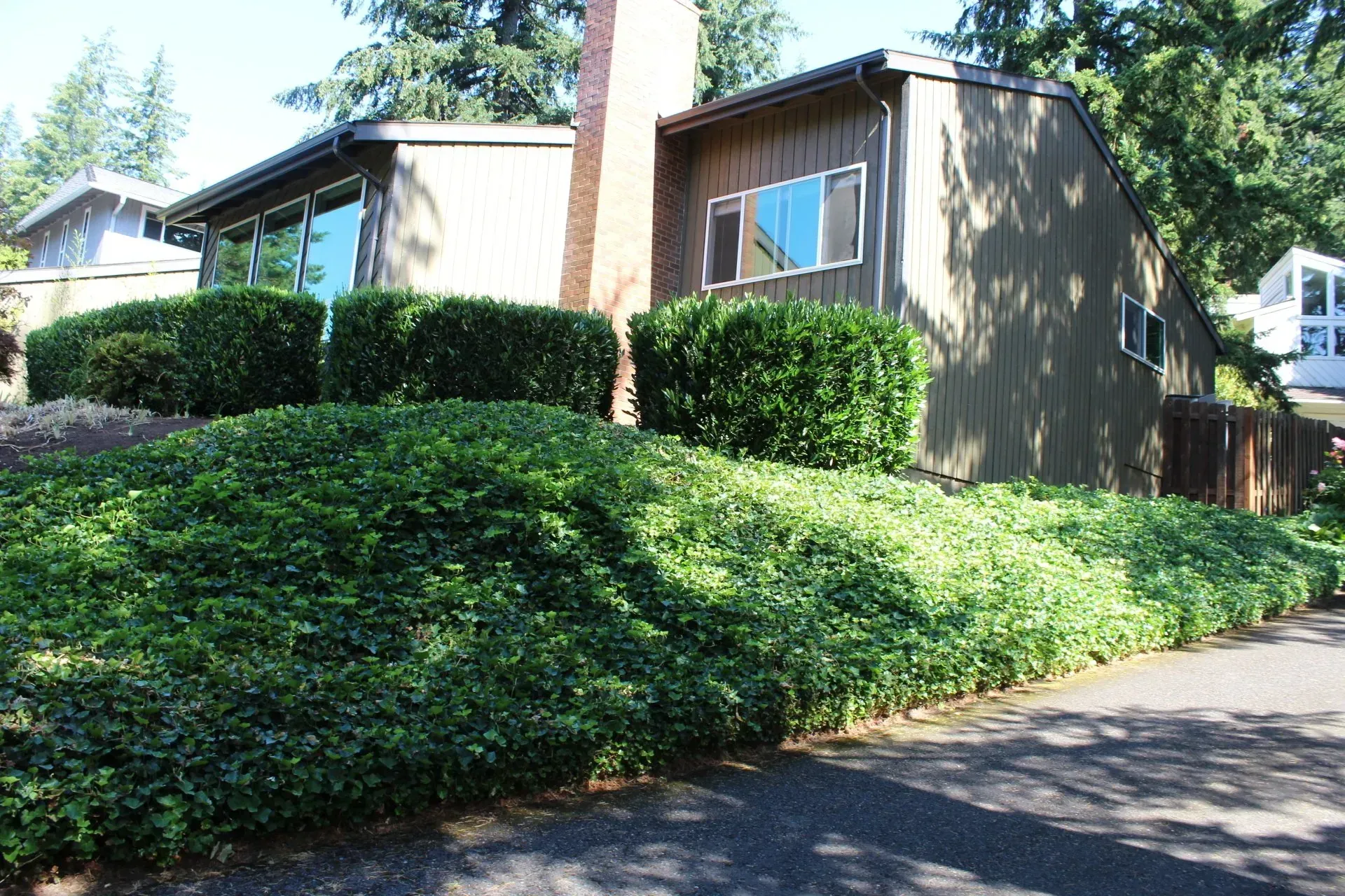A brown house with large windows is set on a hill covered in lush green ground cover and shrubs.