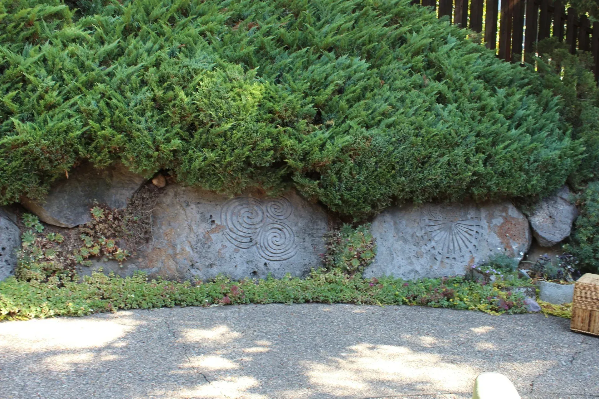 A green bush sits atop a grey rock wall with carved spiral designs; a paved walkway is in the foreground.