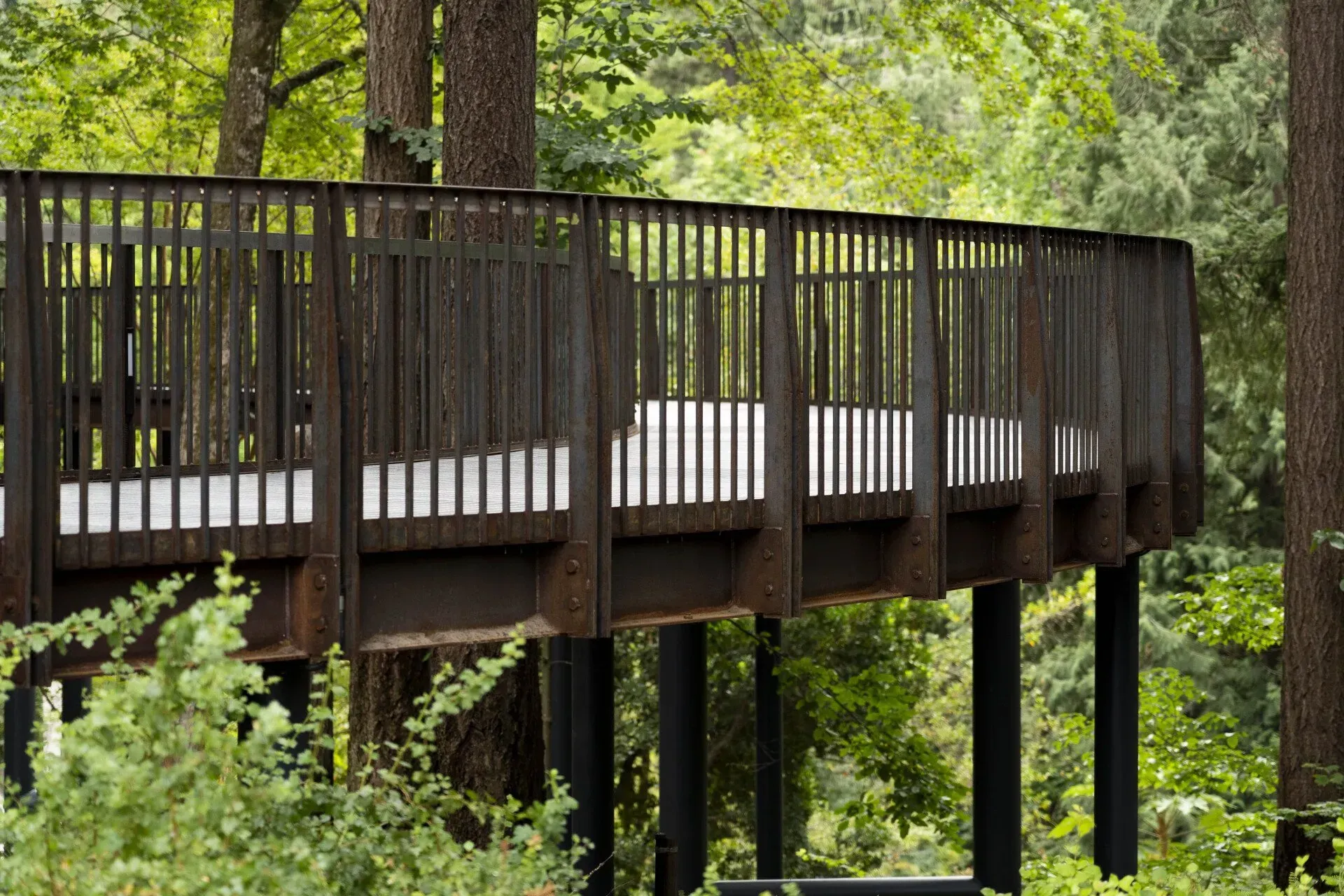 Elevated wooden walkway with dark railings through a forest. The walkway is supported by black columns.