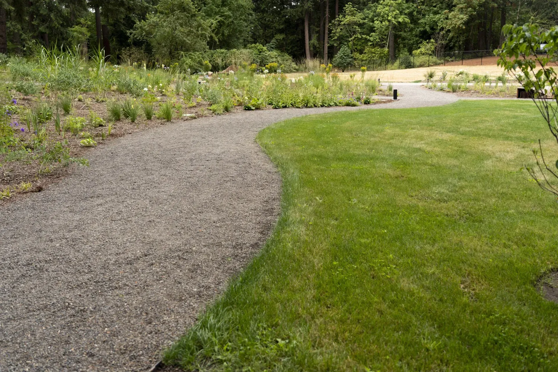 A winding gravel path curves through a green lawn and a garden bed with various plants, leading into a wooded area.