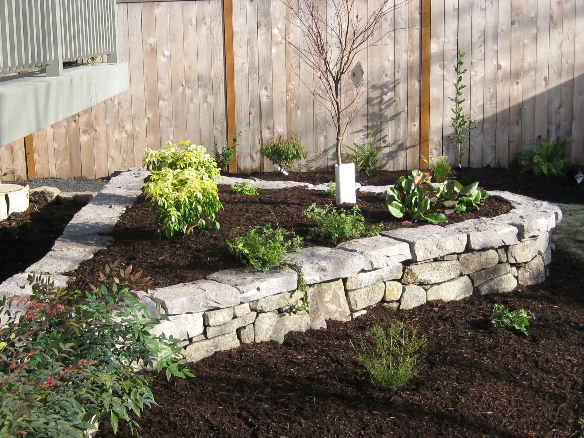 A stone-walled raised garden bed with various plants, including yellow-green and green bushes, against a wooden fence.