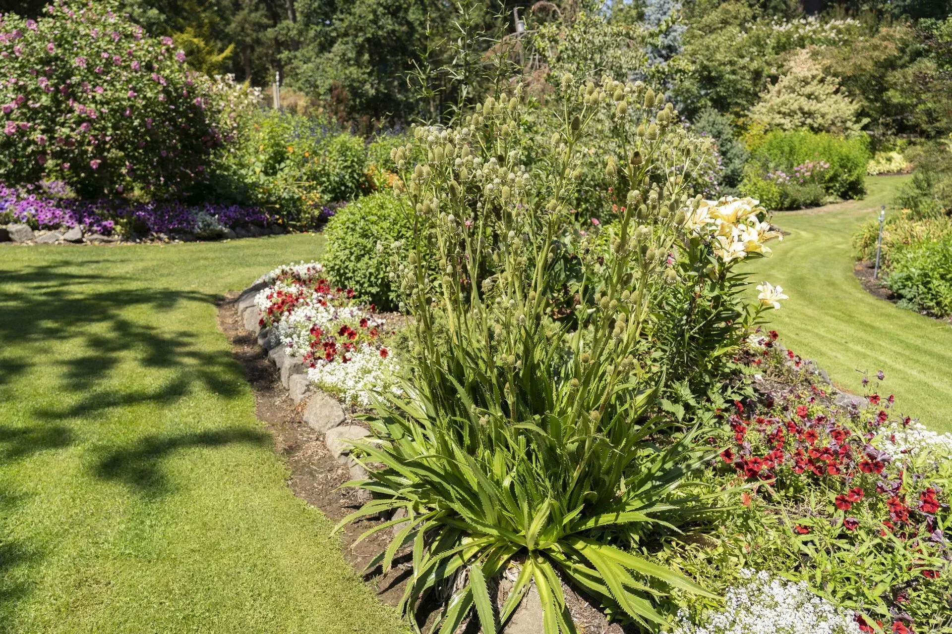 A lush garden with flower beds, green grass, and various colorful plants and bushes.