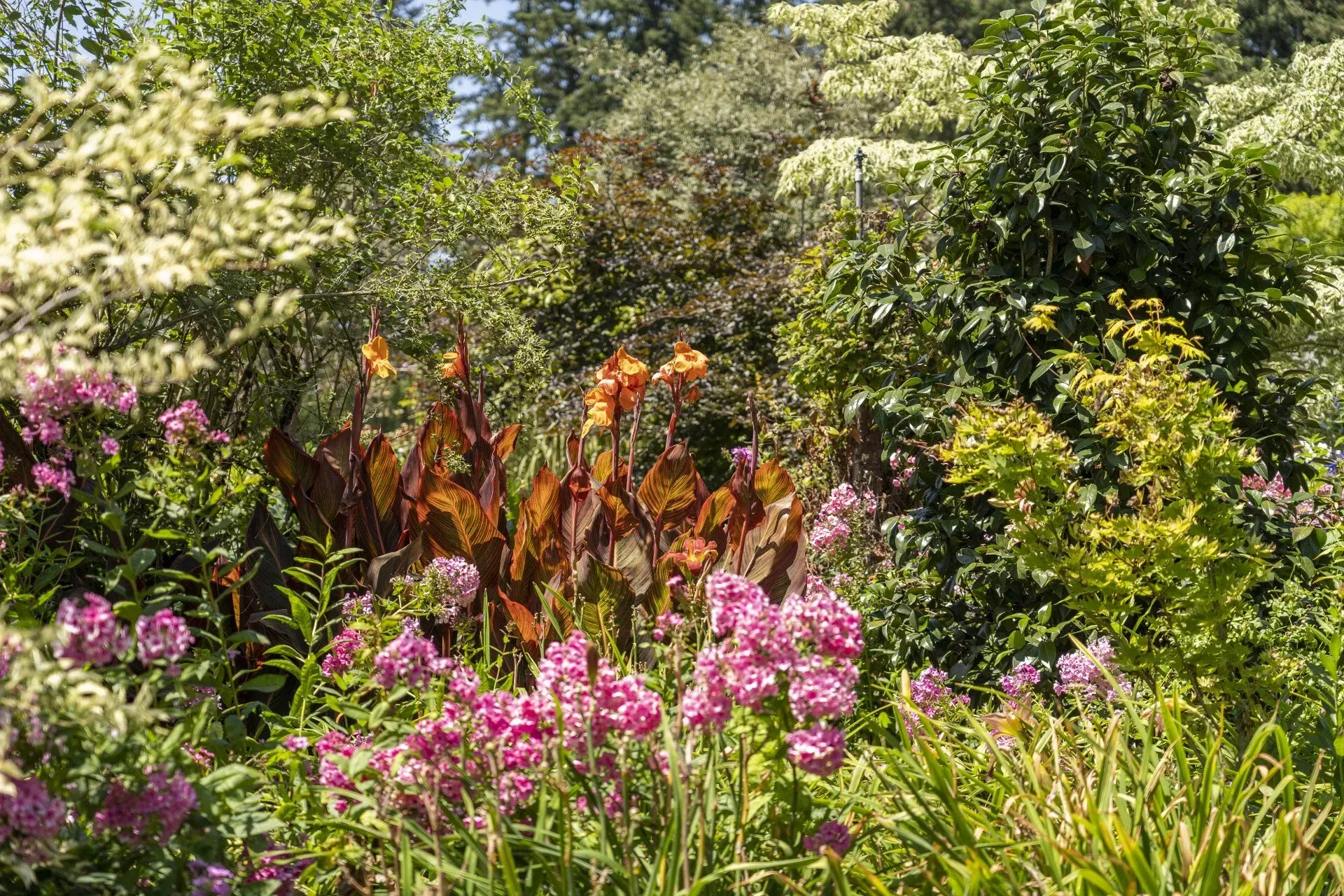 Lush garden with pink flowers in foreground, orange-brown leaves and mixed green foliage, under a blue sky.