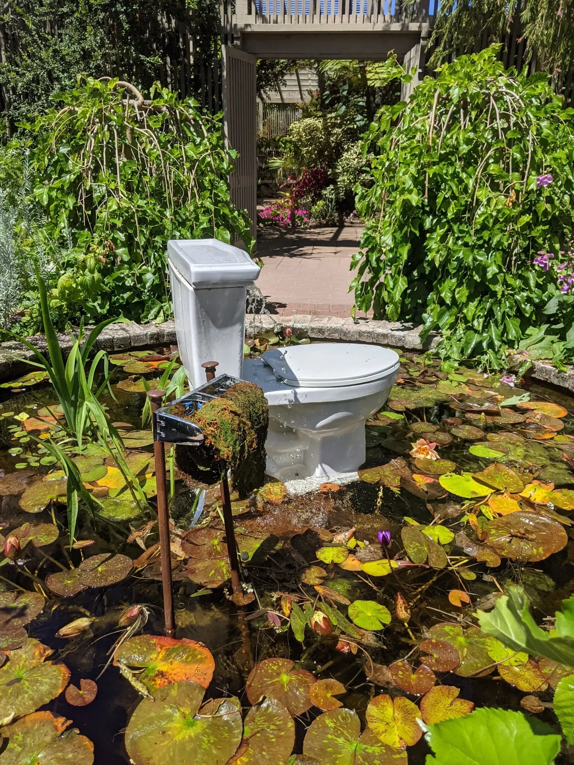 A white toilet sits in a pond surrounded by lily pads and greenery. A pergola frames a path in the background.