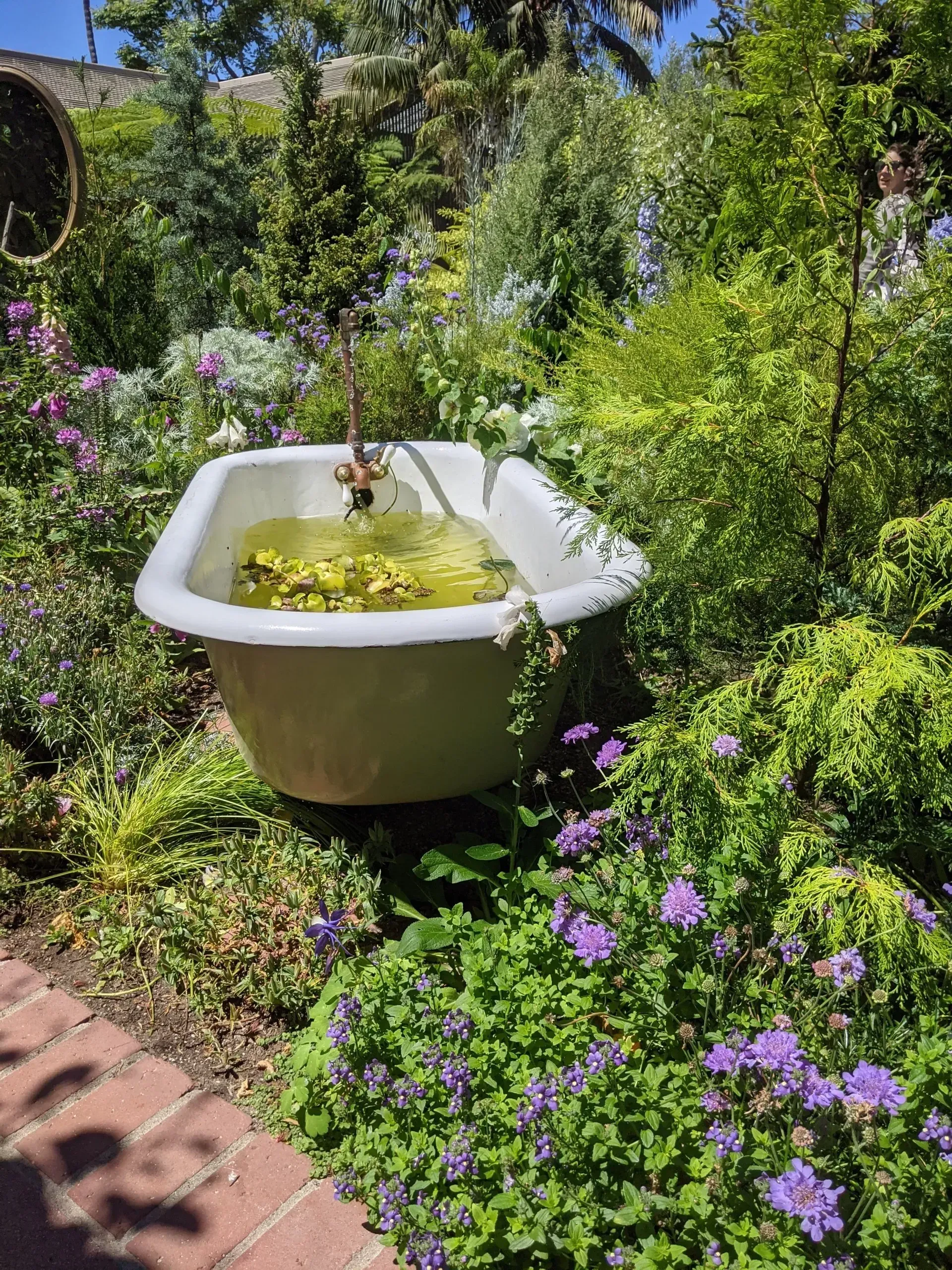 An antique bathtub filled with water and flowers in a lush, green garden with purple flowers in the foreground.