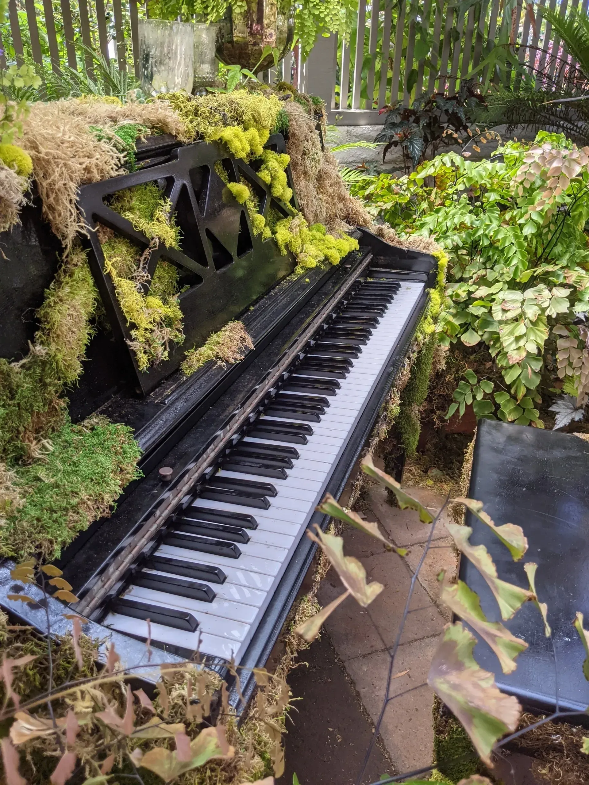 A weathered black piano, overgrown with moss and greenery, sits outdoors in a garden setting.