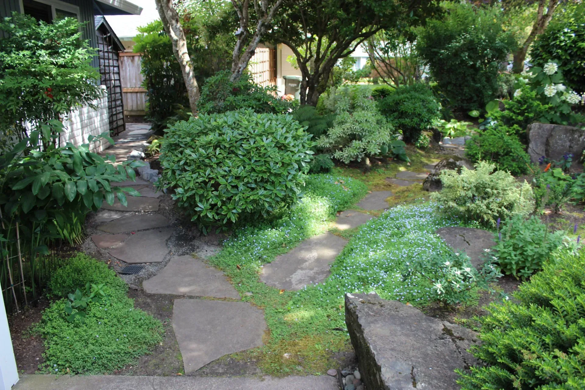 A Japanese garden with a stone path, green foliage, and a variety of plants and trees.