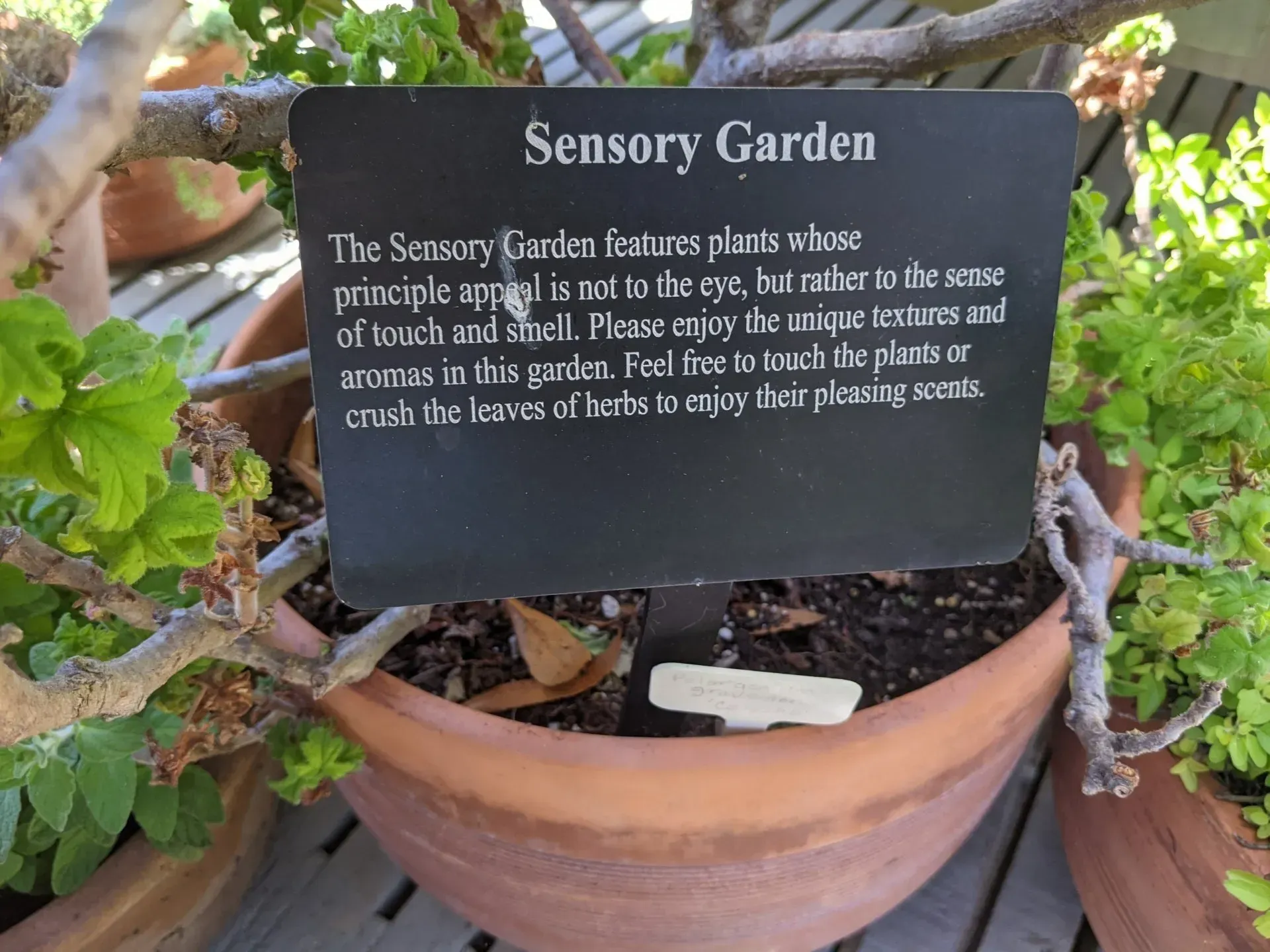 Sign in a potted plant garden: 